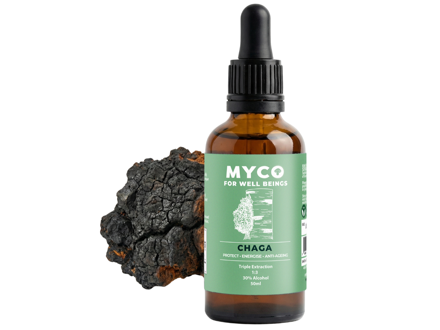 Chaga