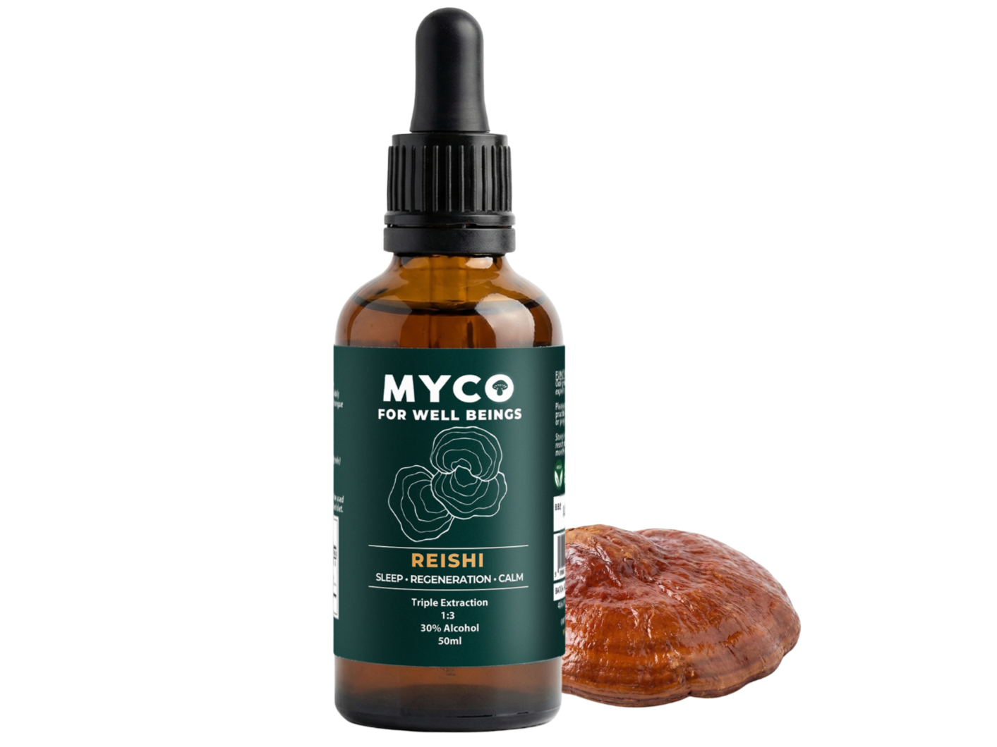 Reishi