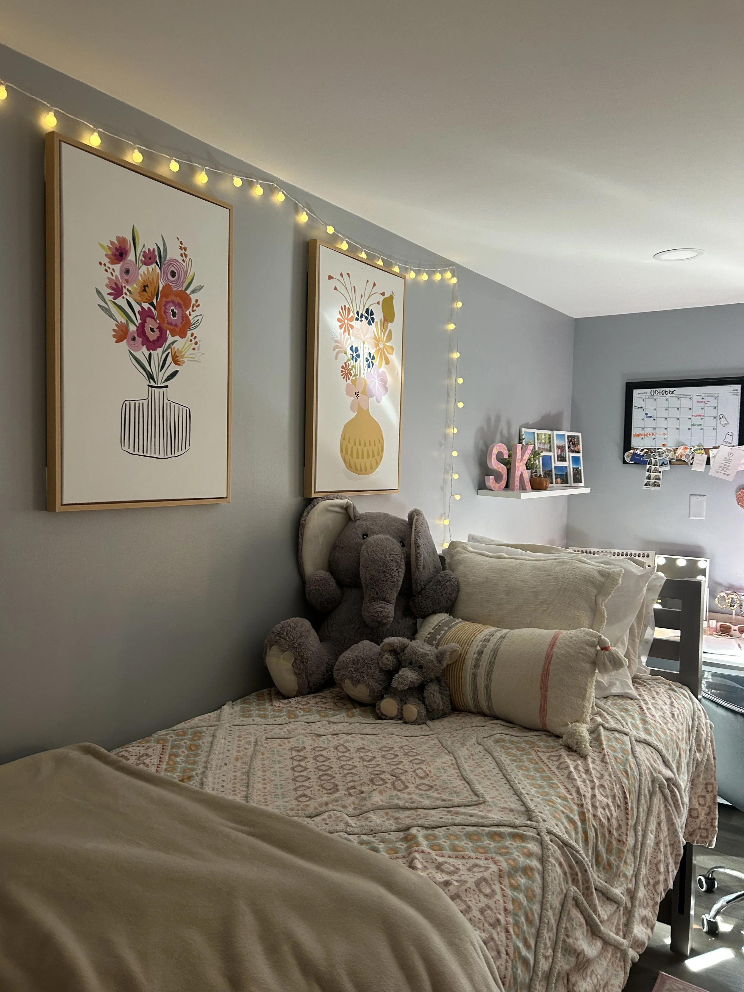 My Sophomore Year Room!