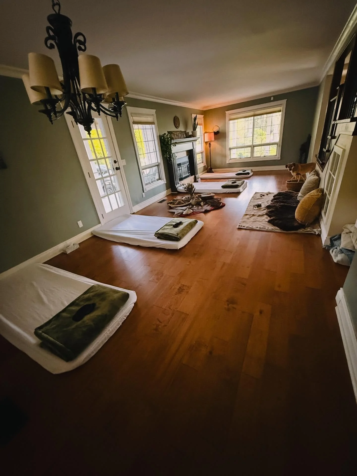 Tonight we journey into the New Year. 
In such a special still point, when the worlds attention is focused on one moment&hellip; what is possible?
What magic can unfold in the darkness of night, or the wee hours of the morning when we are so tapped i