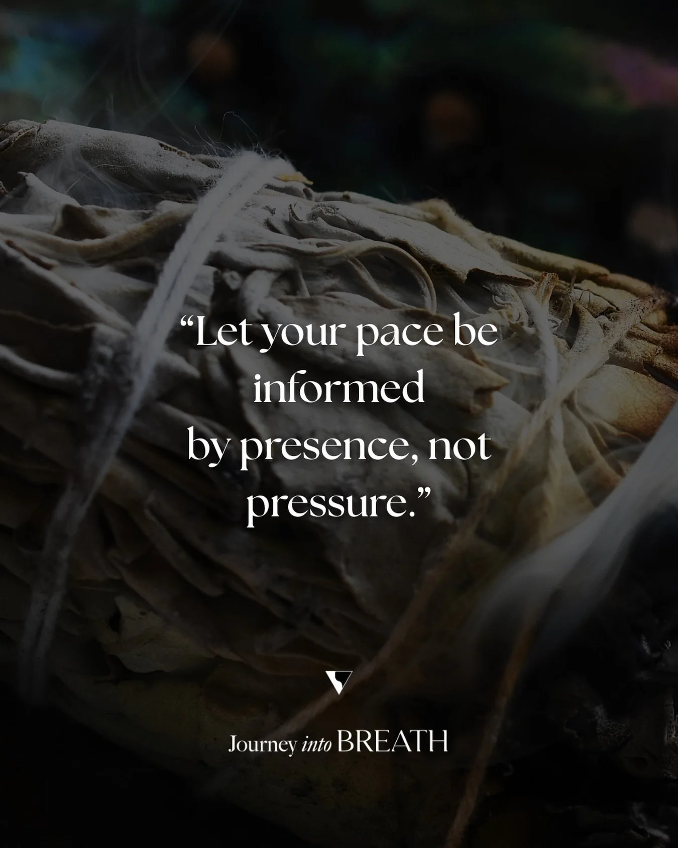 Let your nervous system set the pace. Not the pace it has learned or one it picks up from society&hellip;but the pace YOU desire.

Part of our job now, is to attune to what your body is ready for, rather than what the world is accelerating toward. Wh