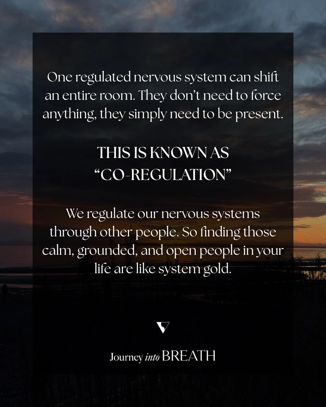 There&rsquo;s a reason some people feel safe the moment you&rsquo;re around them.

Not because they&rsquo;re saying the perfect things, but because their body isn&rsquo;t in defense. Their system is steady. And that steadiness becomes something other