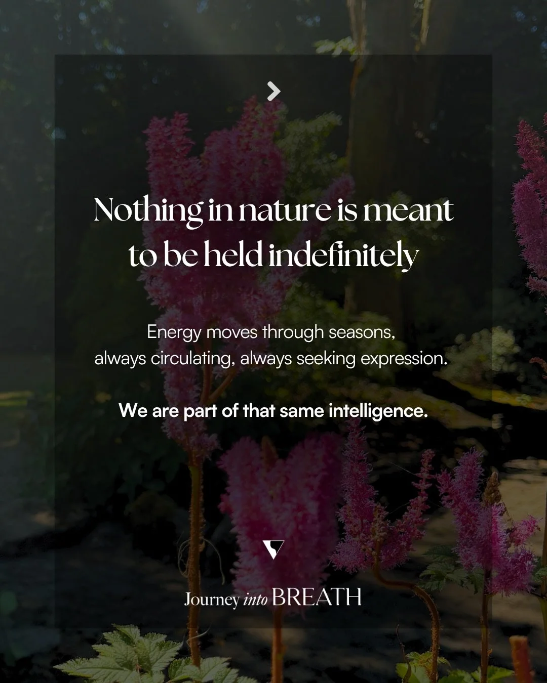 Nothing in nature is meant to be held indefinitely.
Everything moves and we are a part of that same intelligence, even when we forget.
When experiences and emotions don&rsquo;t have space to move, they don&rsquo;t disappear. They settle into the body
