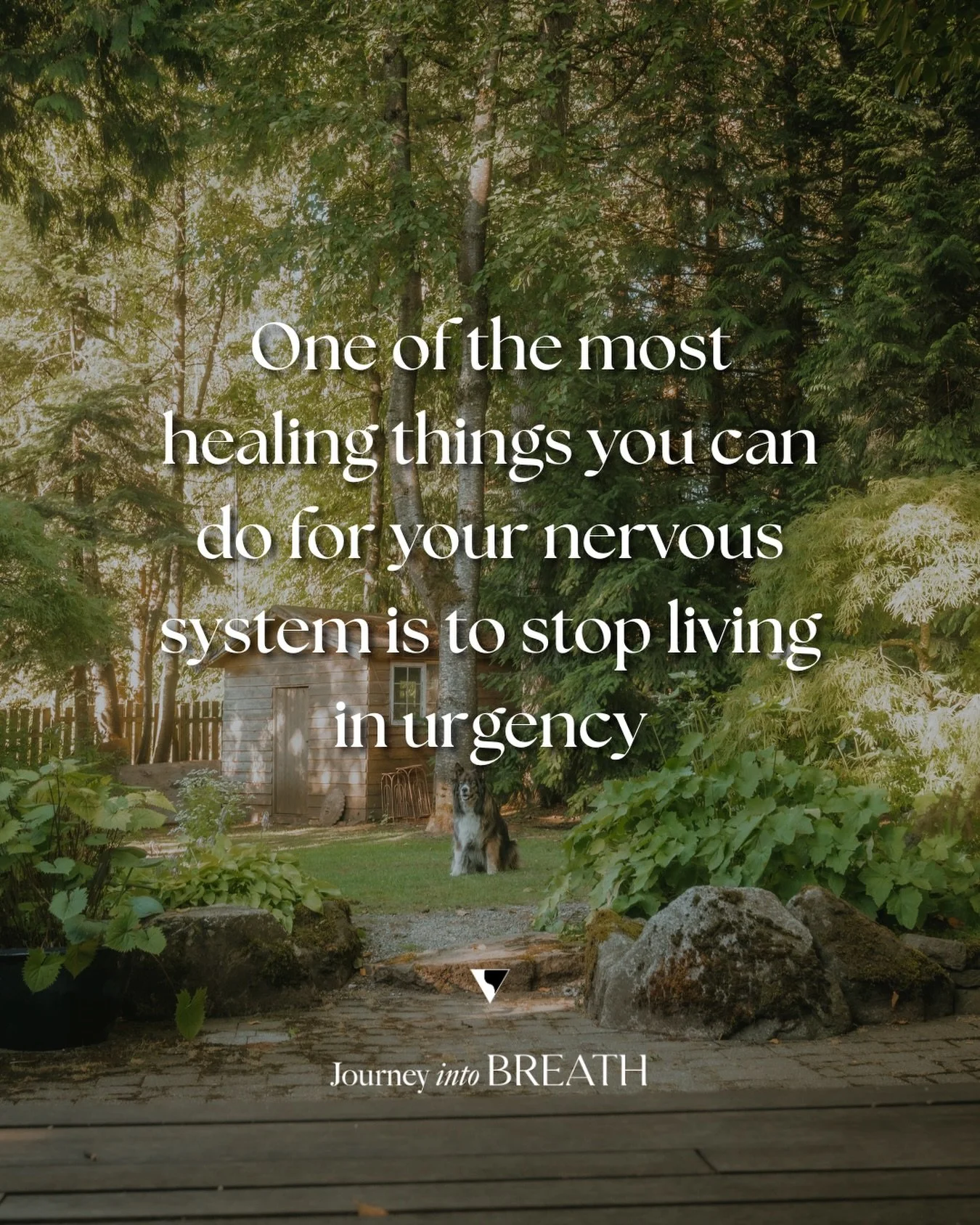 Not everything needs to be solved right now.

When the body is used to urgency, stillness can feel unfamiliar&hellip; even unsafe. The mind keeps searching for the next thing, the next step, the next problem to stay ahead of.

But healing often begin
