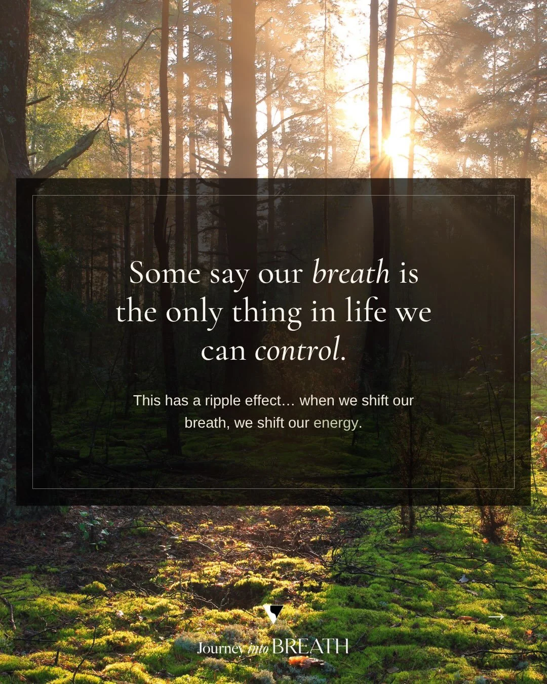Your breath is one of the most powerful tools you have for changing your internal state.

Your breath is always communicating with your nervous system.

When we intentionally shift the way we breathe, we can create a ripple effect through the body.

