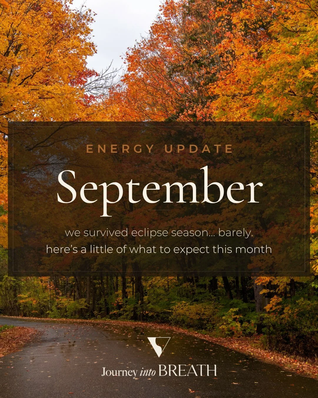 September energy update🍁

After the intensity, movement, and revelations of eclipse season, September opens up time for us to rest, restore, and integrate.

For many, last month brought chaos, endings, realizations, and massive shifts, clearing the 