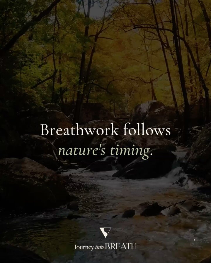 Nature doesn&rsquo;t force.
The seasons change. 
The rivers move. 
The rain comes. 
Everything has its own rhythm.

As do we. We think of nature as somewhere we go to, go visit, rather than something we ARE. Within us. 

Sometimes life gets heavy. Tr