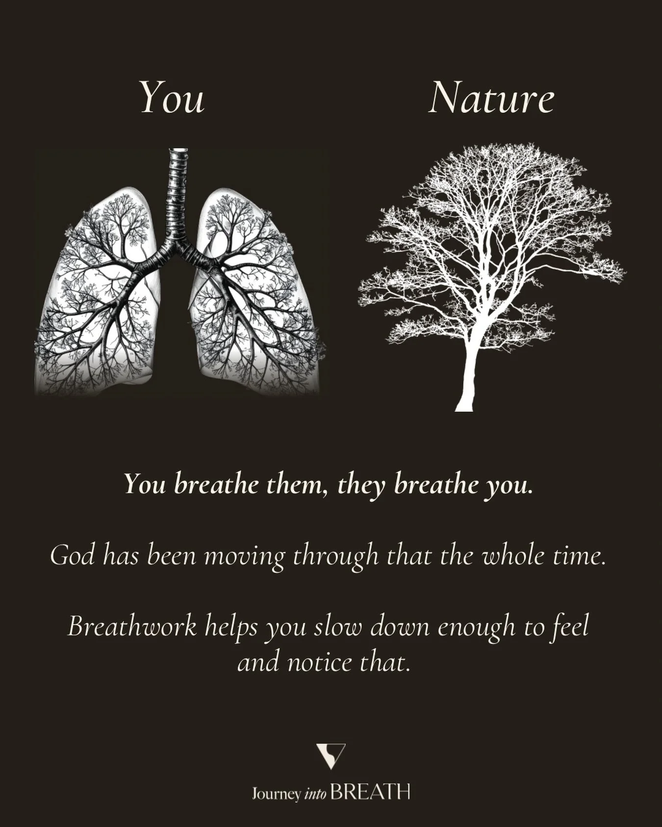 I used to think of nature as somewhere I went to&hellip;.. a place you drive to on a weekend. 

Something outside you that you visit, take a photo of, and then leave.

It took me a long time to understand that I am nature. You are nature. There&rsquo
