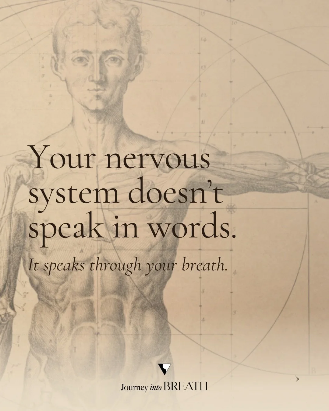 Our nervous systems don&rsquo;t talk to us using words... they speak through our breathing.Its pace, depth, sound, and where you feel it in your body. Your breath is constantly sharing how you truly feel inside, way before your mind even notices. 
Yo