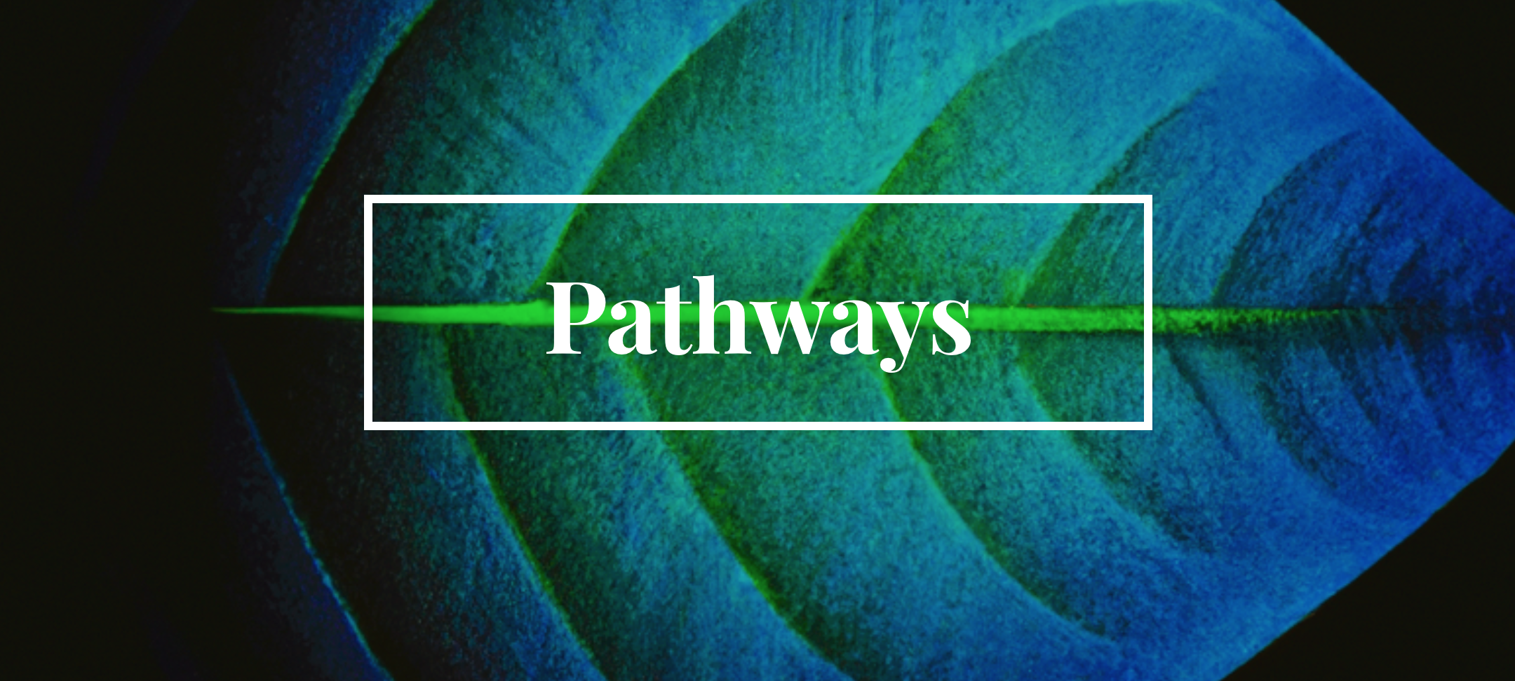 The Alliance of Reformed Churches