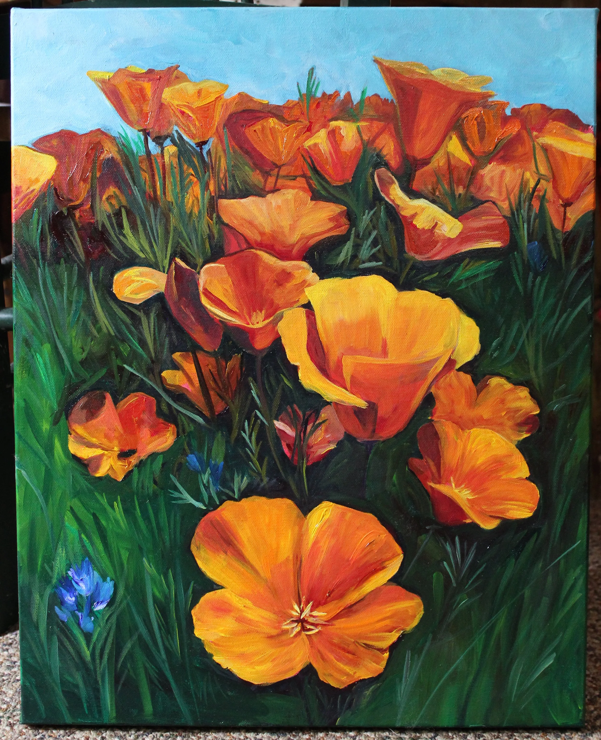 ENLIGHTENED POPPIES