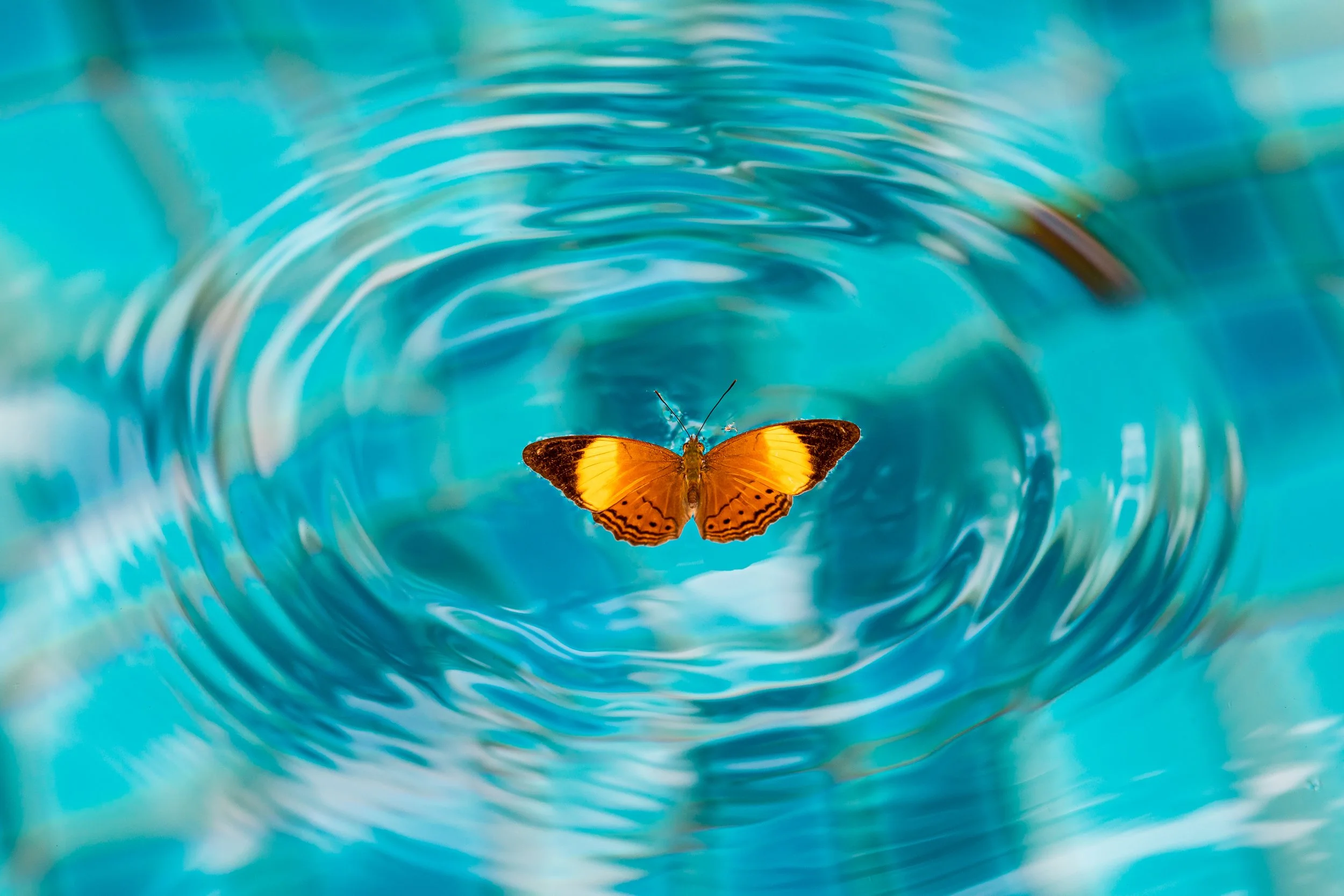 shutterstock_1599495859 (2).jpg