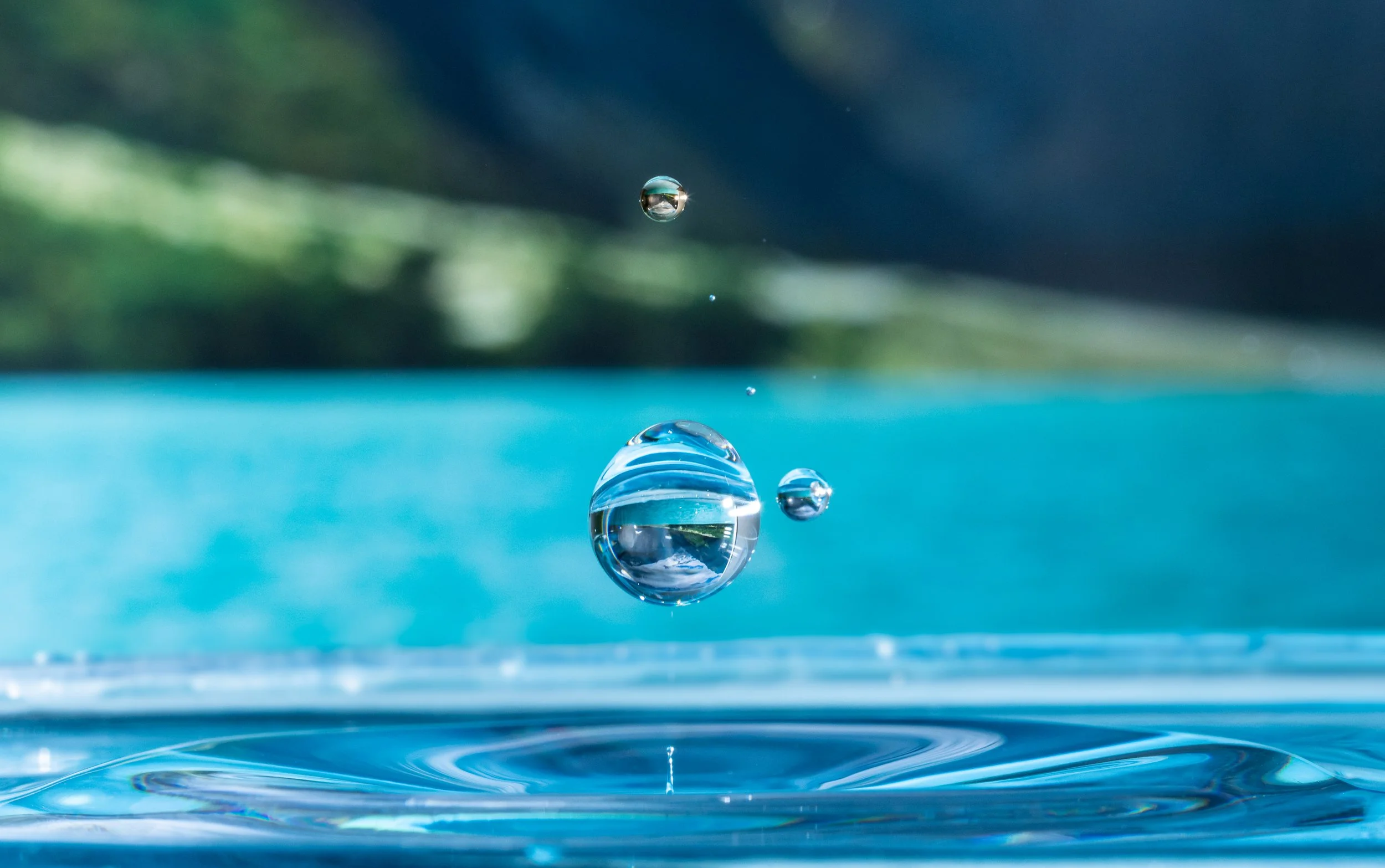 shutterstock_1606215187.jpg