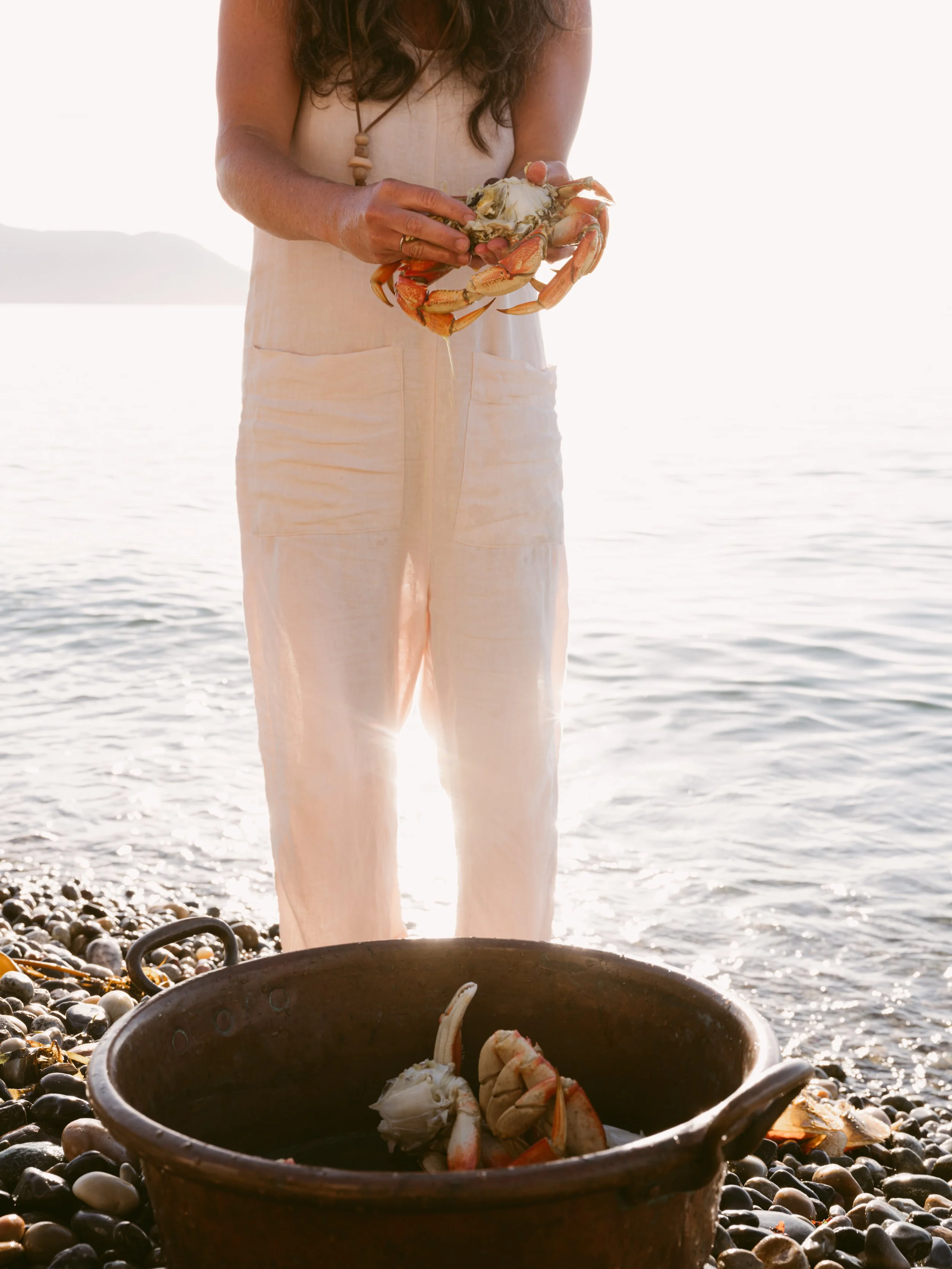 Person holding a crab near a large pot on a rocky beach with ocean in the background.