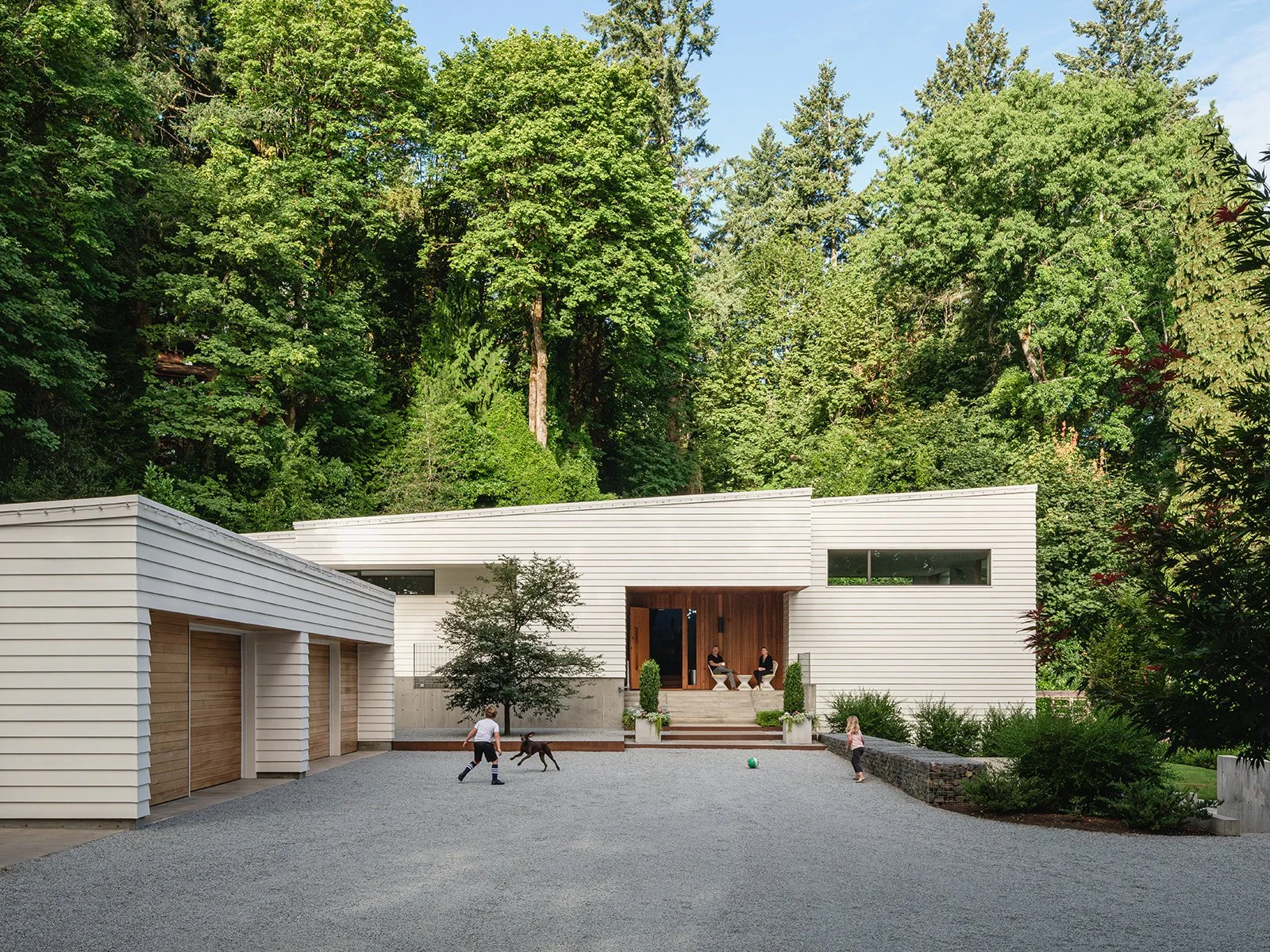 Modern home with evergreen trees