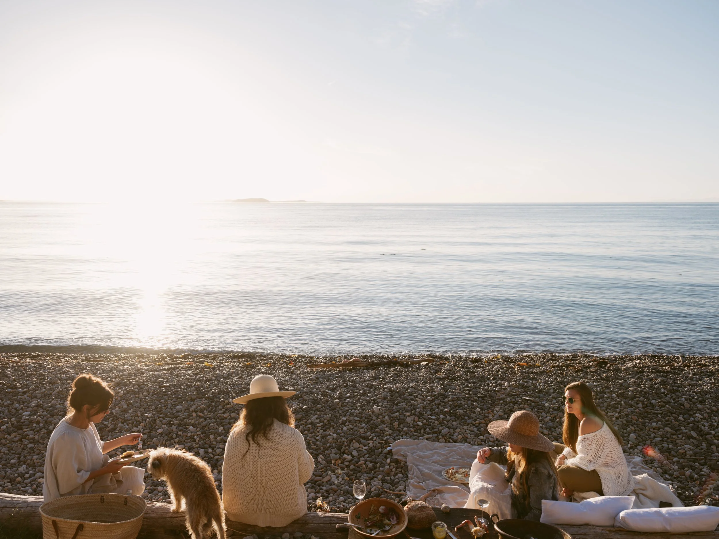 Group of people sitting on a rocky beach with a dog at sunset, enjoying a meal or picnic.