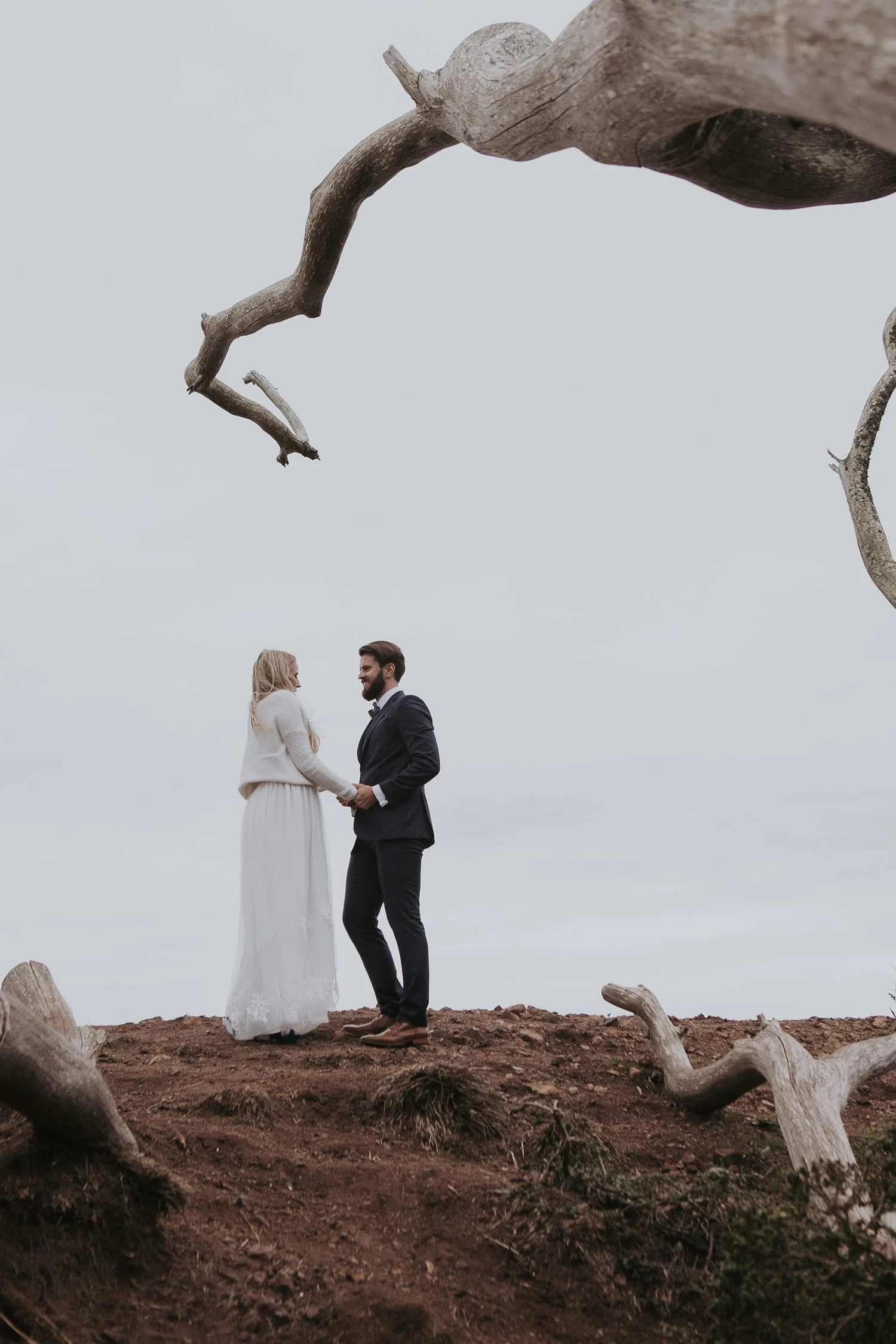 Couple standing on a hill surrounded by bare tree branches.