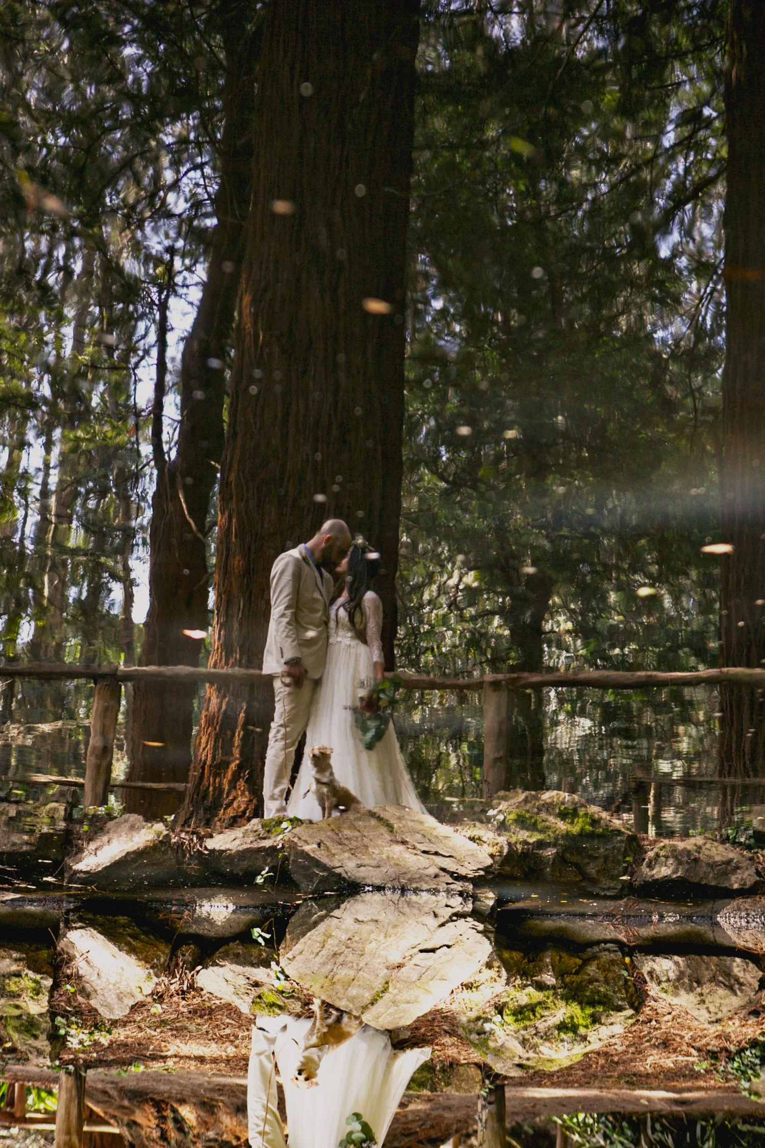 Bride and groom embracing in a forest setting with trees in the background, reflection in water below.