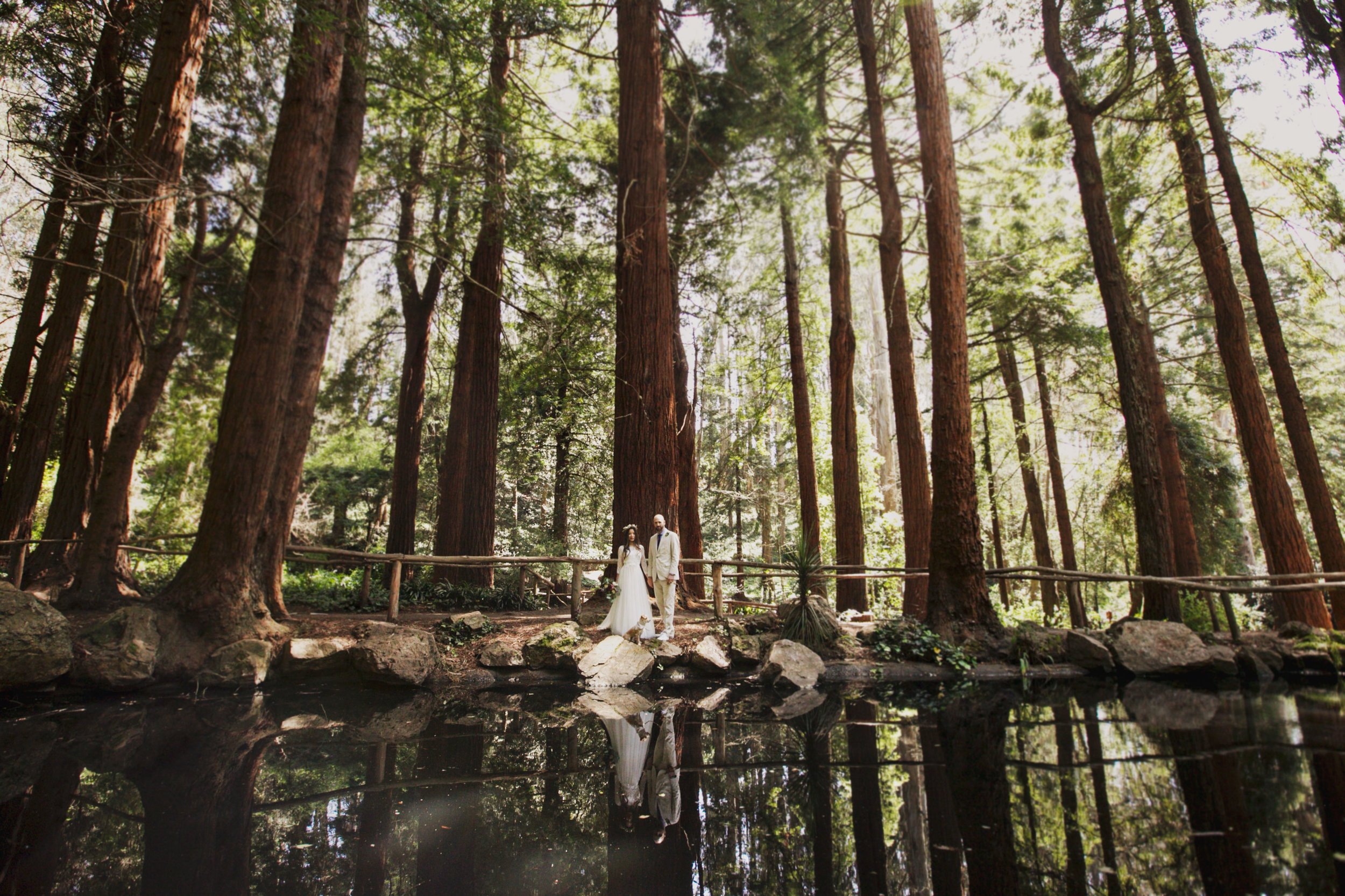Bride and groom standing in a forest with tall trees and a pond reflecting the scenery.