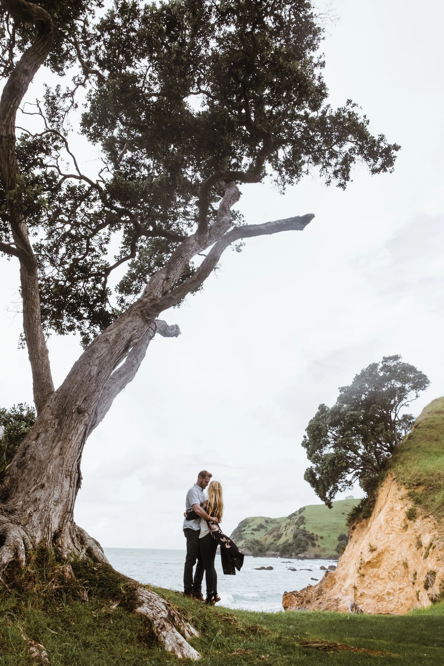 Couple embracing under a large tree by the ocean, with cliffs and grassy hills in the background.