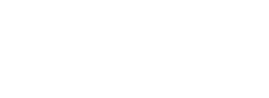 Magellan Immigration Consulting