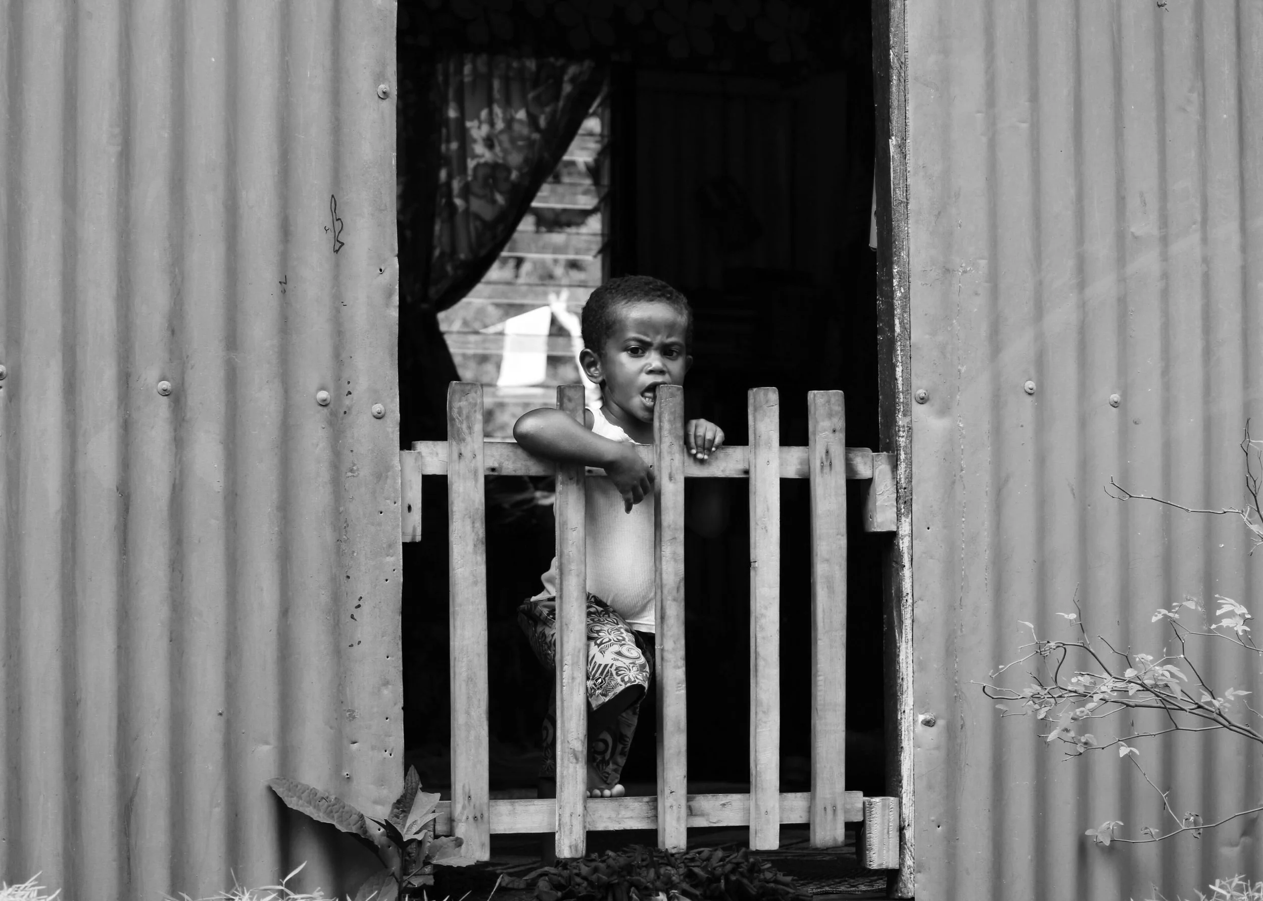 FIJIBOY2 copy.jpg