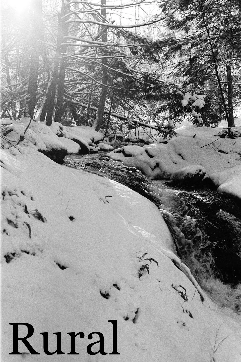 Cascade 4x6 cover.jpg
