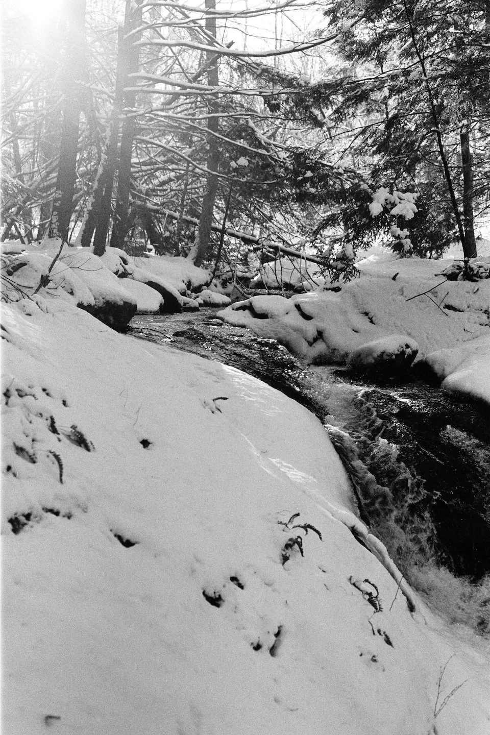 "Cascade"