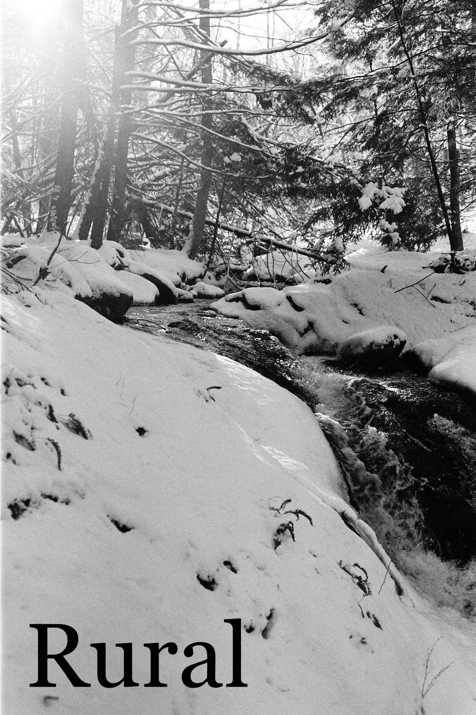Cascade 4x6 cover.jpg