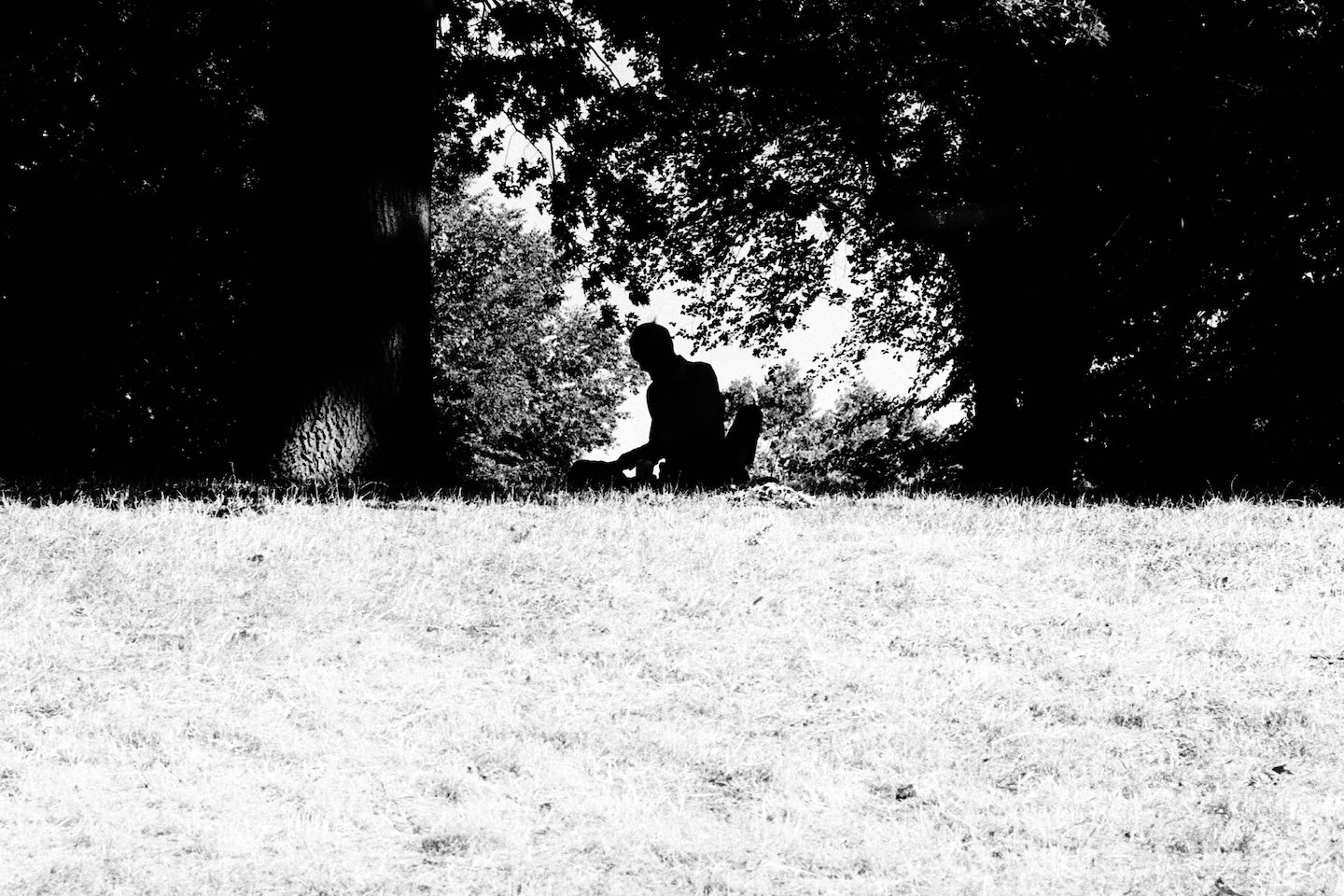 "Repose"
