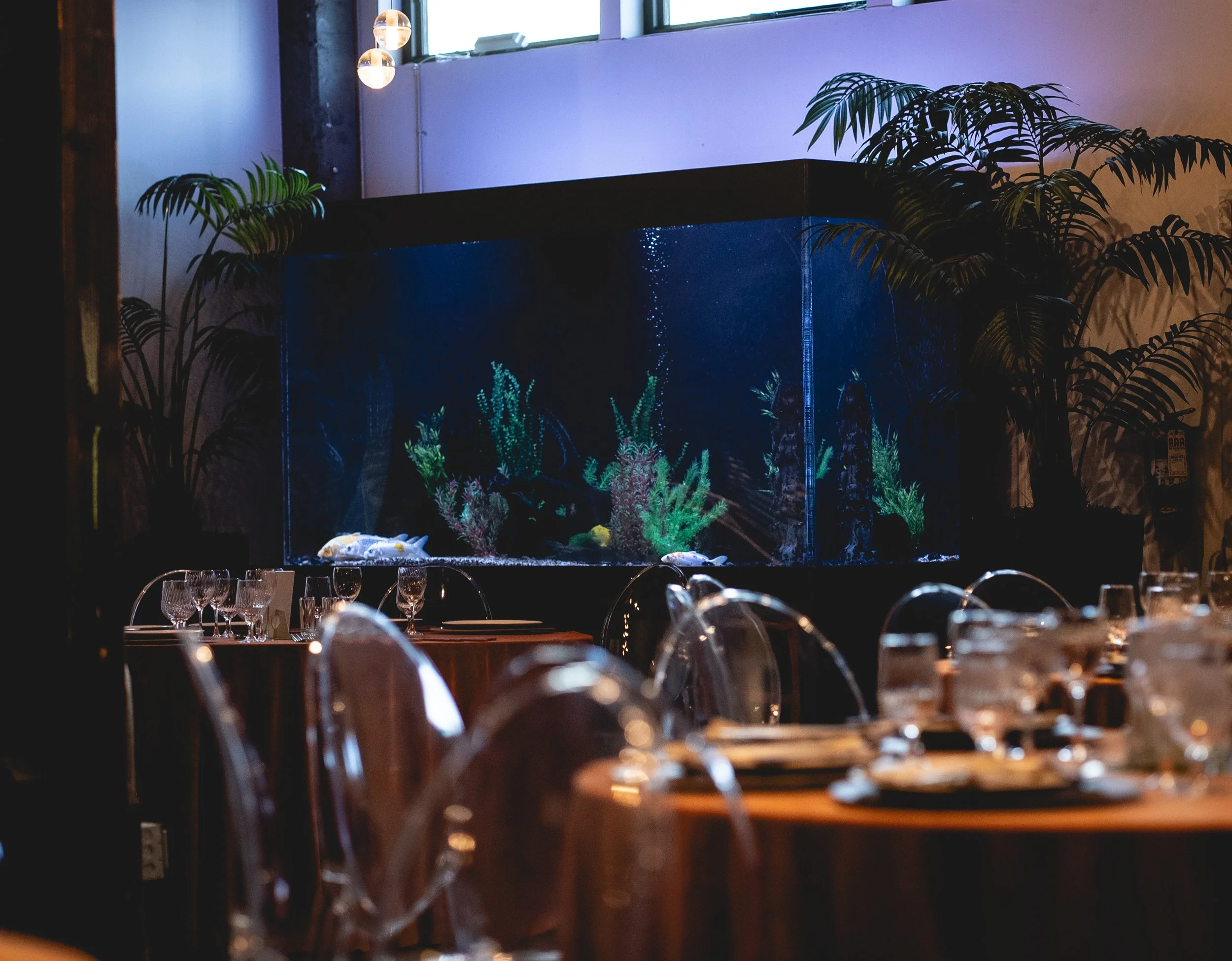 Formal dining area with tables set with glassware and utensils, and an aquarium with fish and tropical plants in the background, surrounded by potted plants.