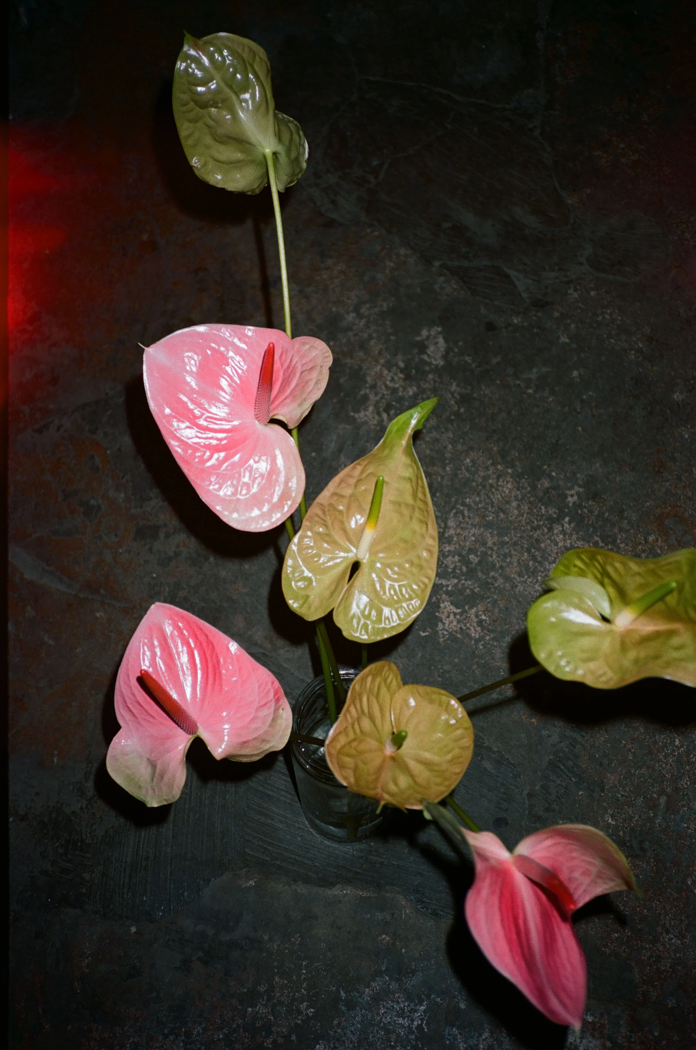 000091020033 copy.JPG