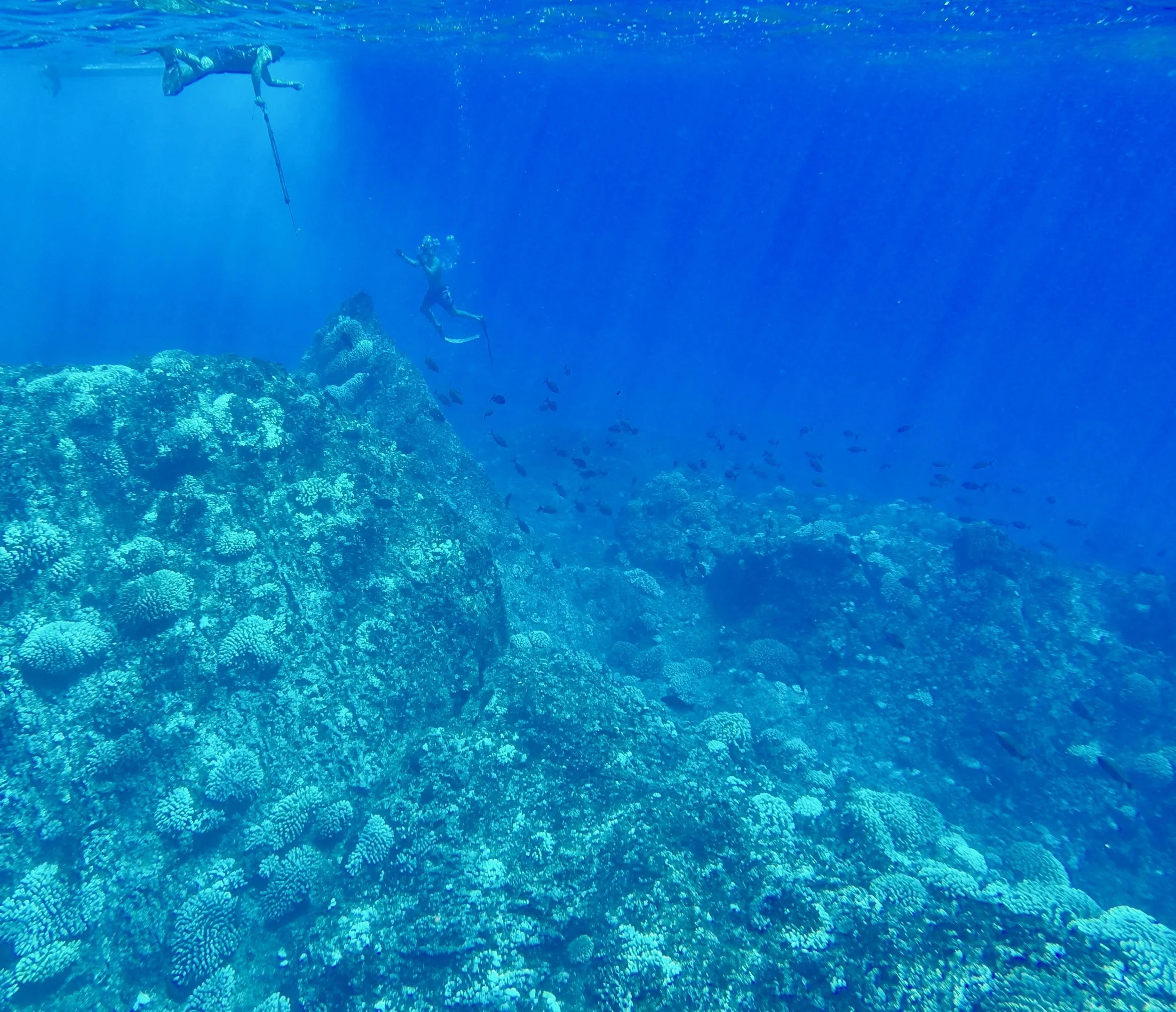 pitcairn immigration image 08.jpg