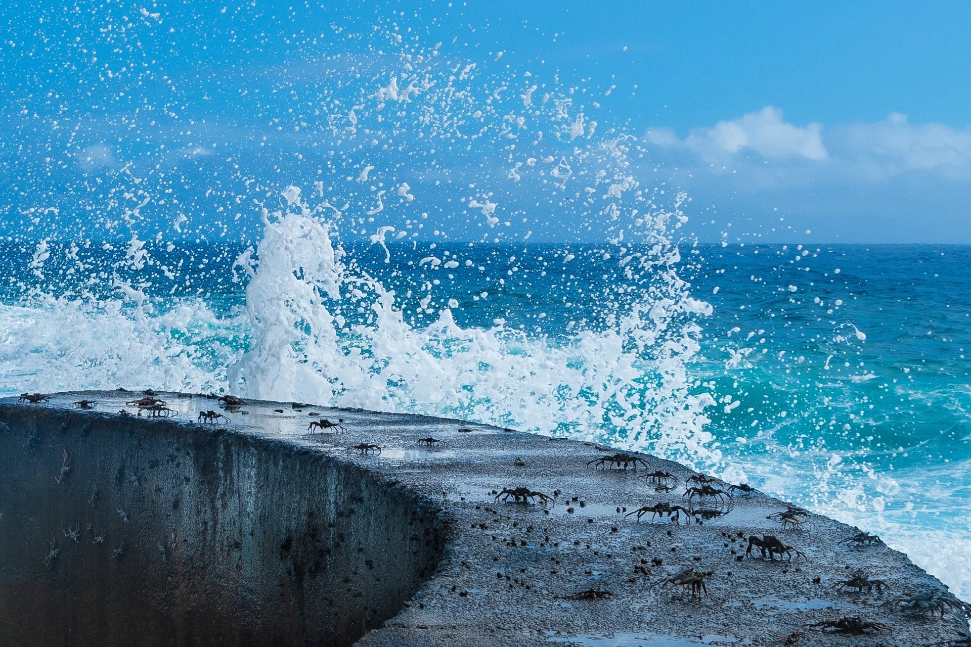 pitcairn immigration image 02.jpg