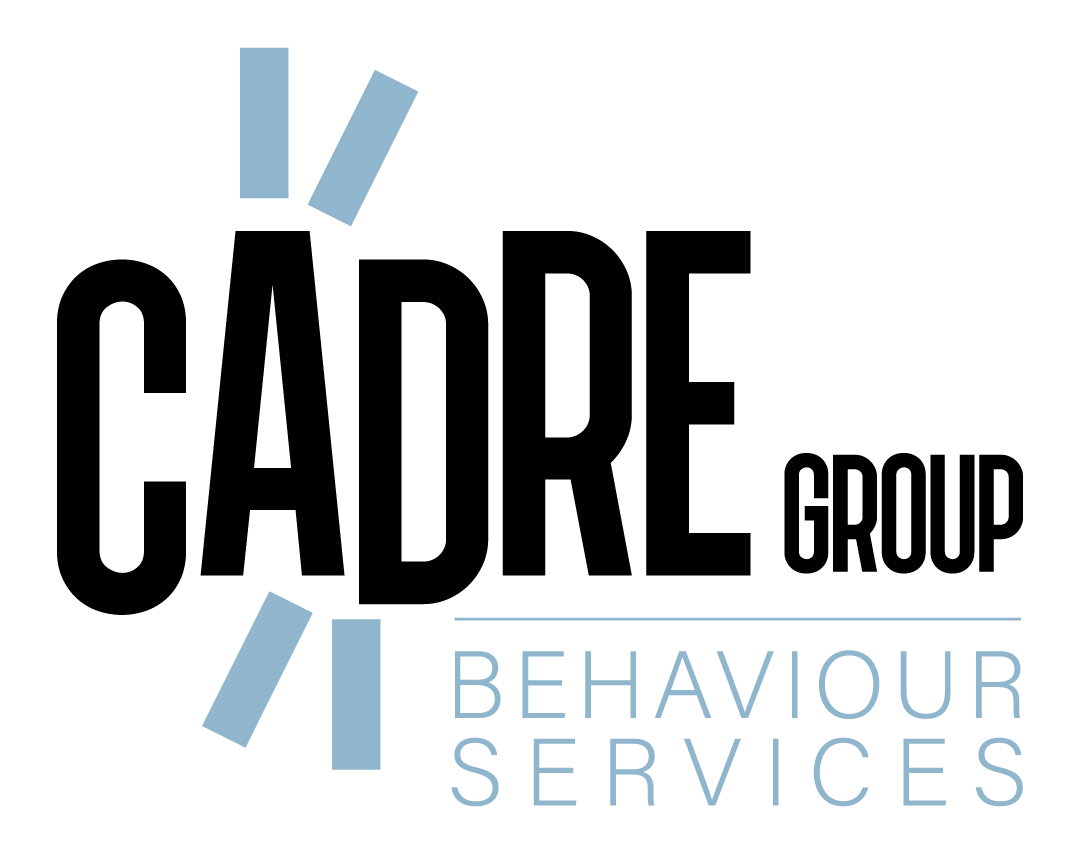 Cadre Group Behaviour Services