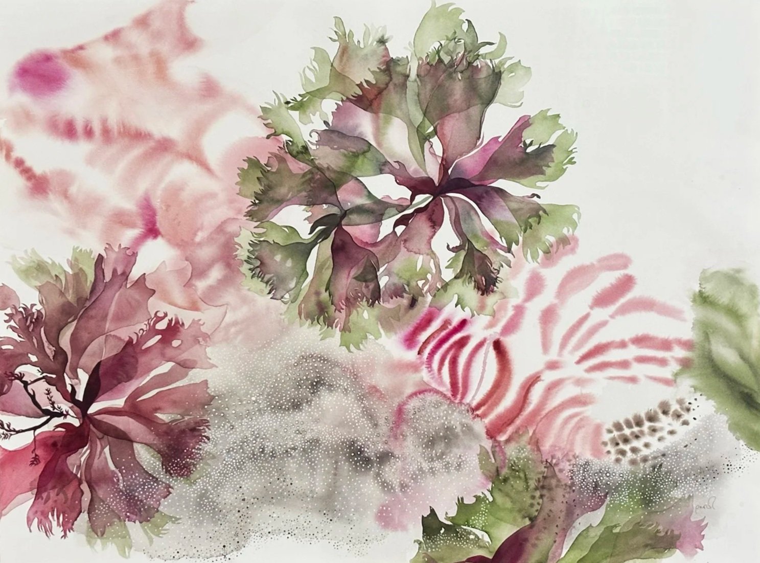 Contemporary Watercolour Painting of Marine life in pink and green