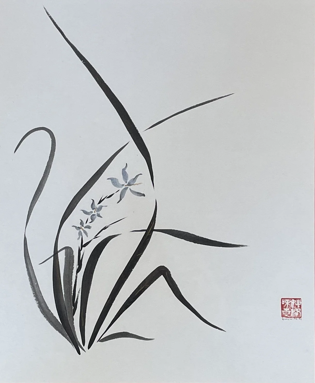 2553.orchid.3x4JPG.JPG