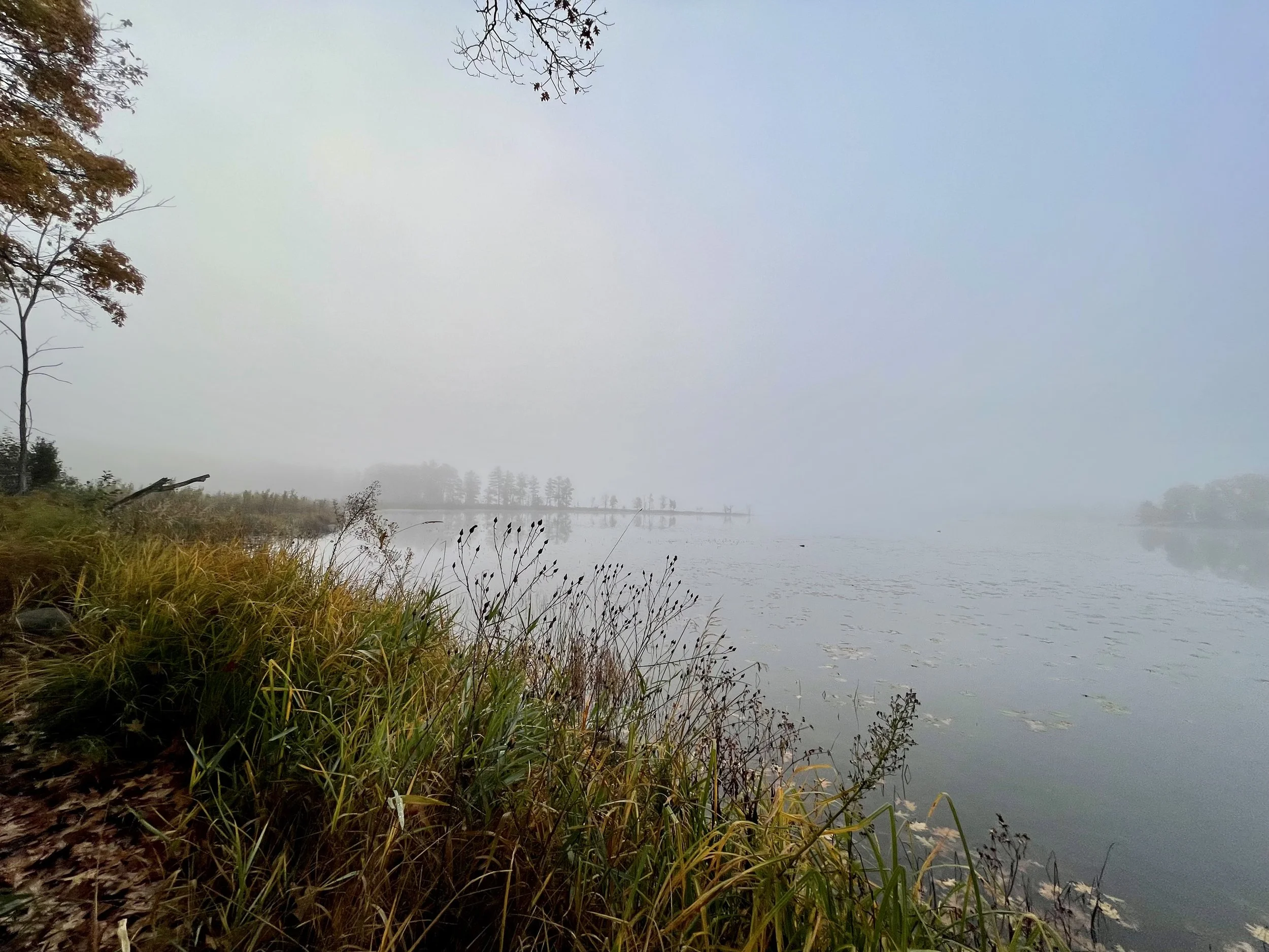 Round Lake Hayward Wisconsin Facts and Real Estate Agent