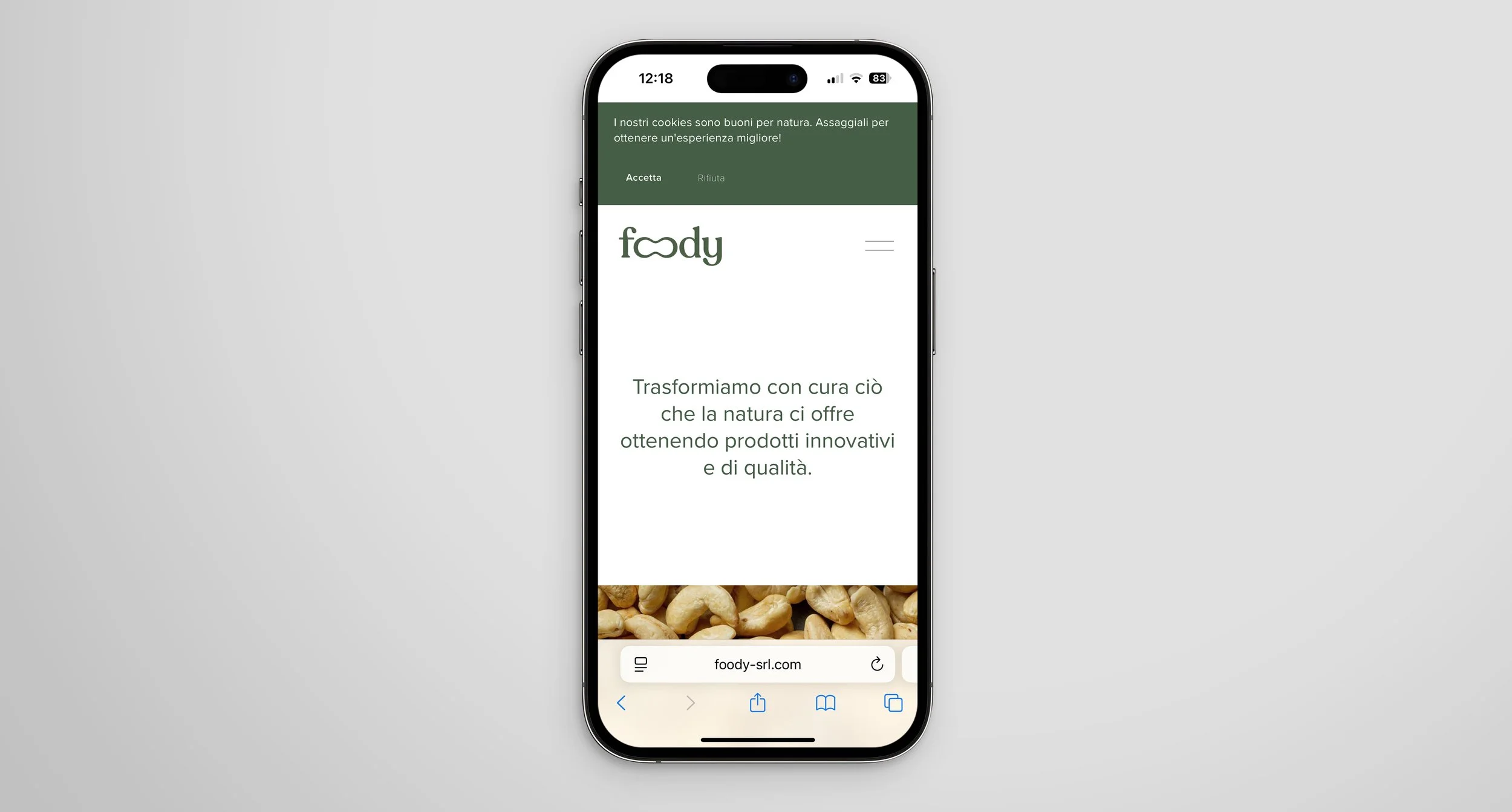 instagram-iphone-mockup_sachanati.com.jpg