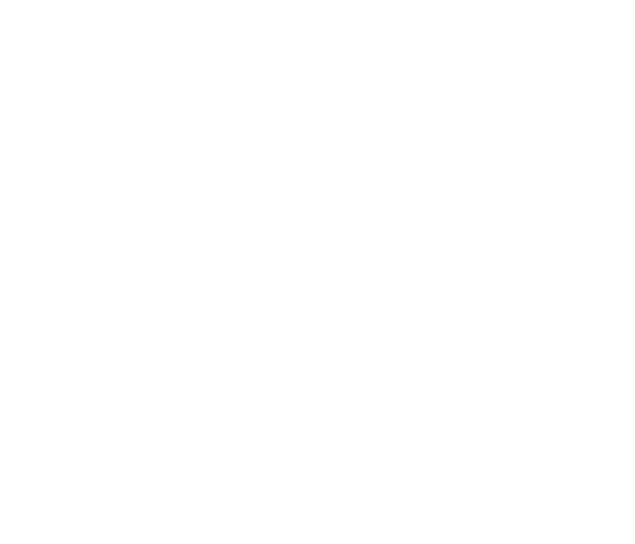 Set Decorator