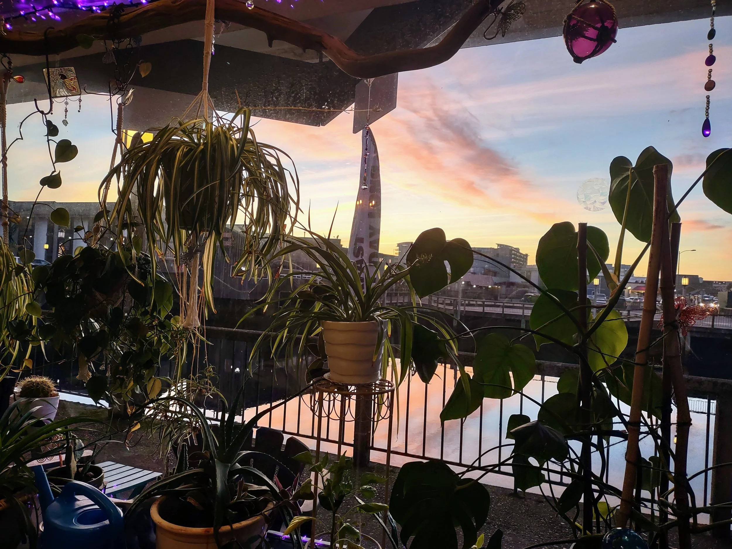 IMG_20231117_165100165_HDR.jpg