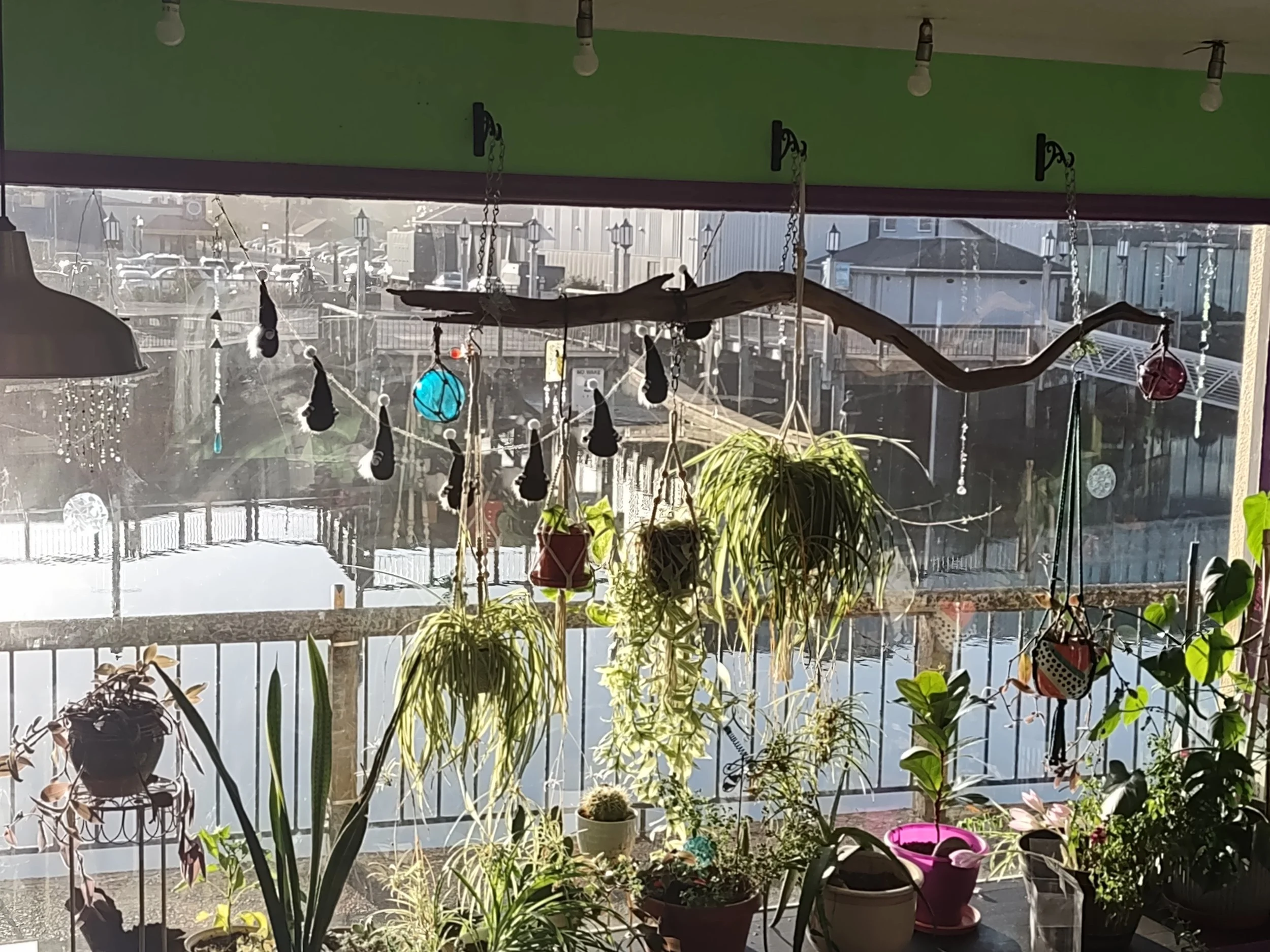 IMG_20230920_181324391.jpg