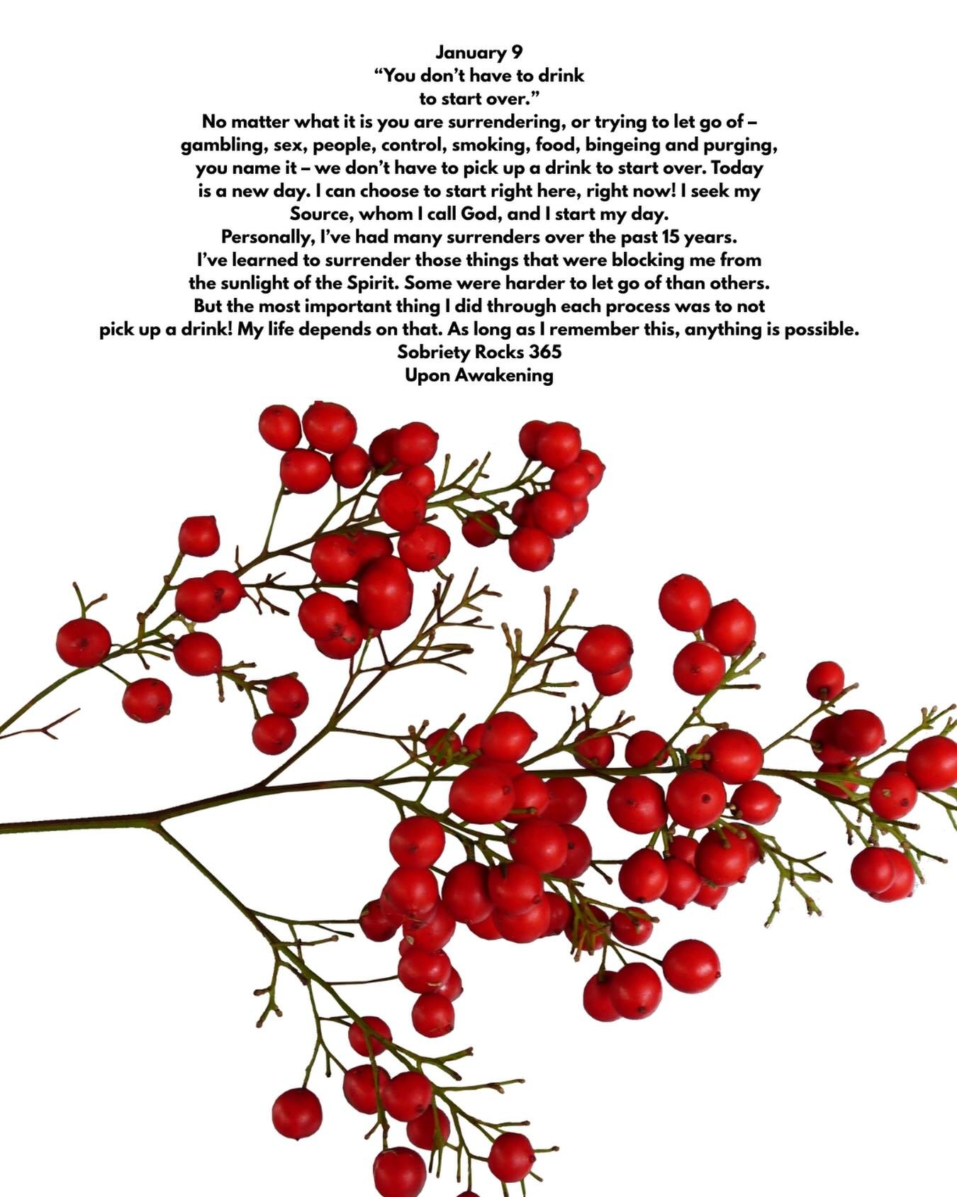 #uponawakening #soberaf #recovery 
#12steps #mom