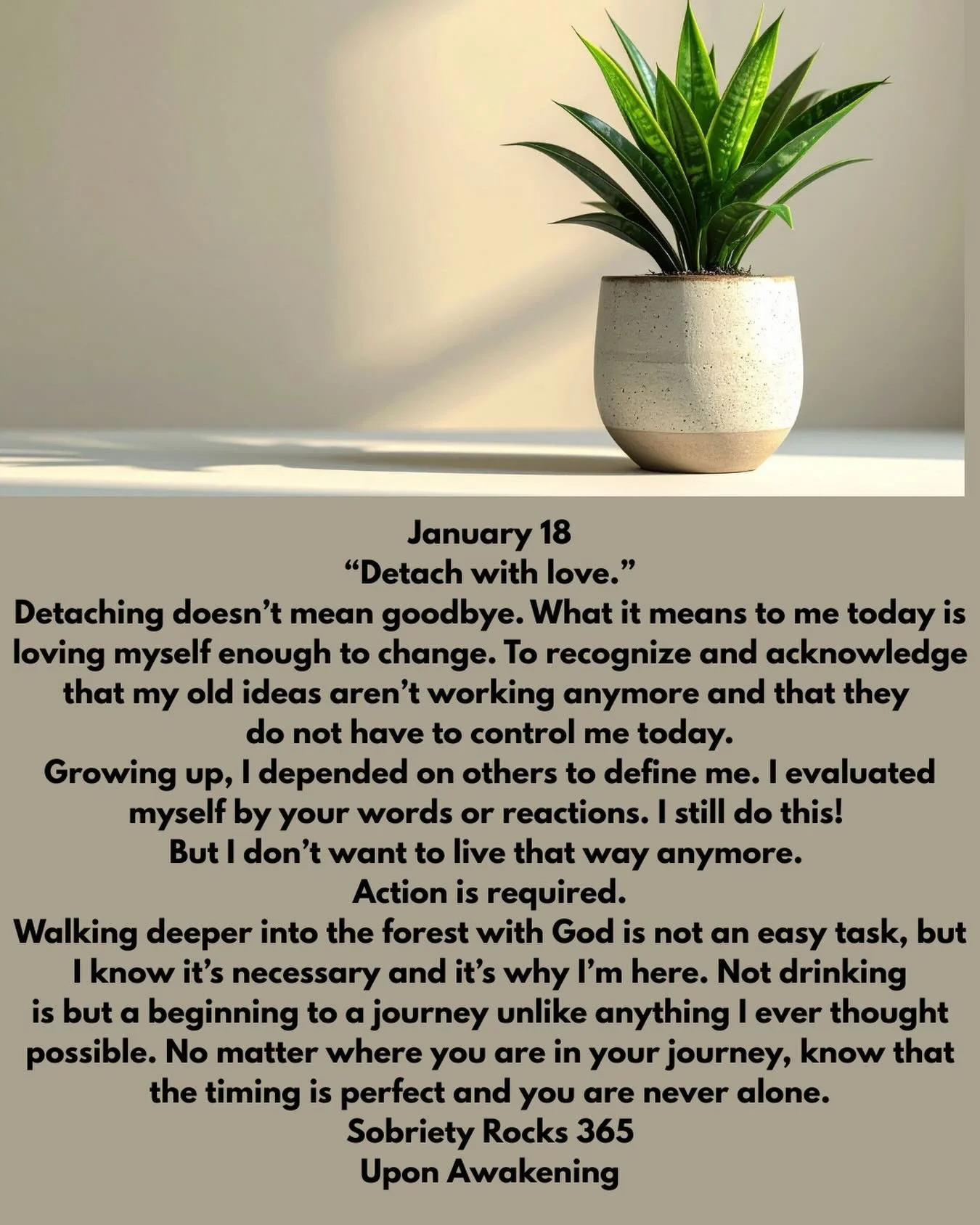 #uponawakening #soberaf #recovery 
#12steps #moms