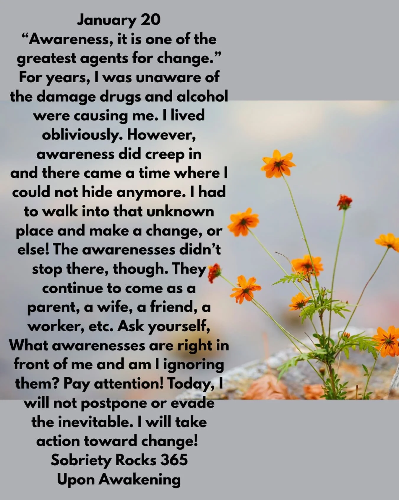 #uponawakening #soberaf #recovery 
#12steps #moms