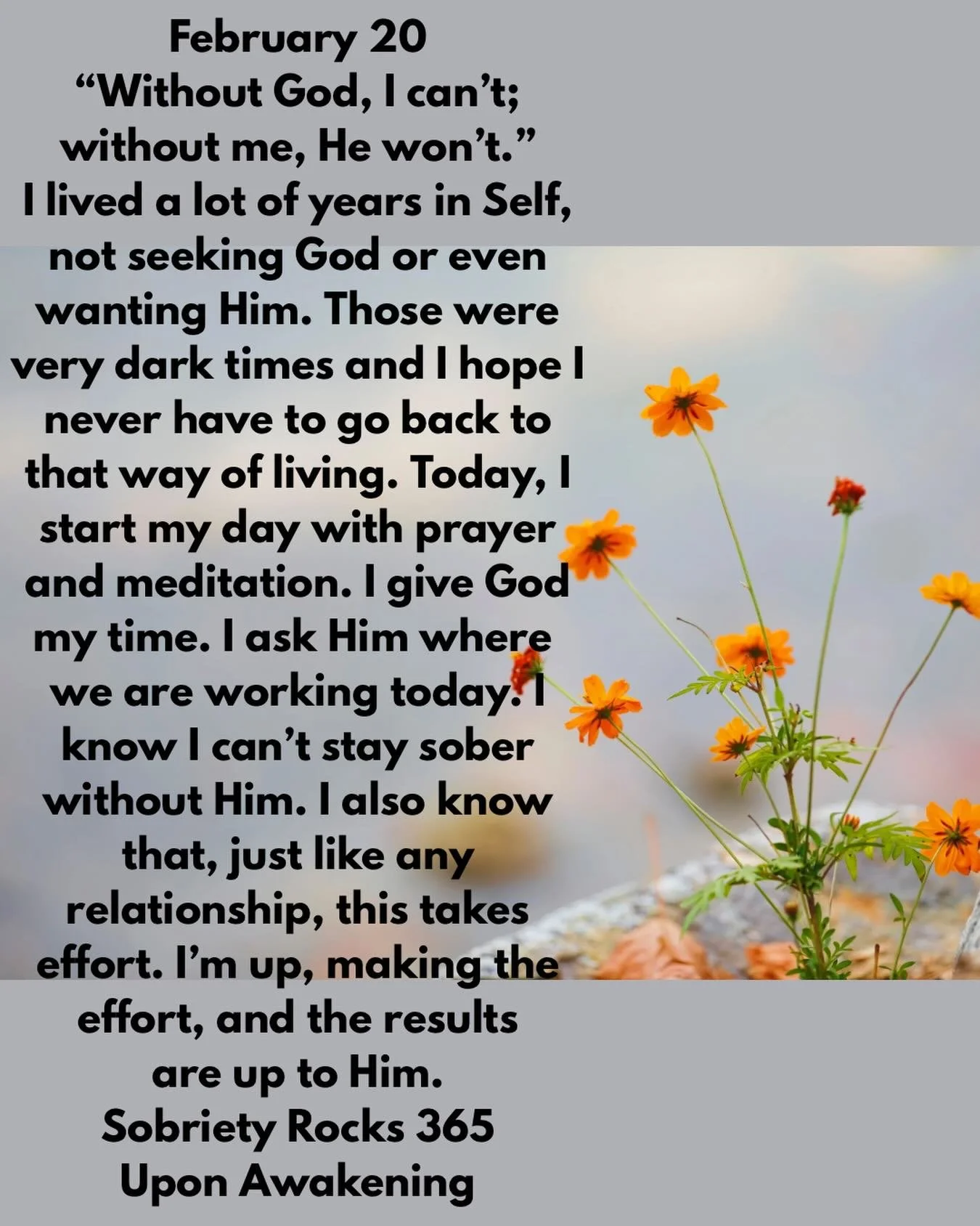 #uponawakening #love#moms #surrender 
#powerinthepause