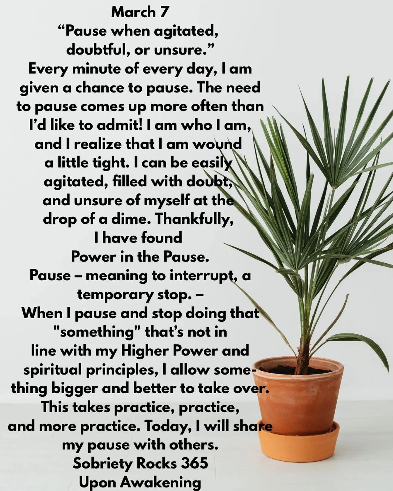 #uponawakening #love#moms #surrender 
#powerinthepause