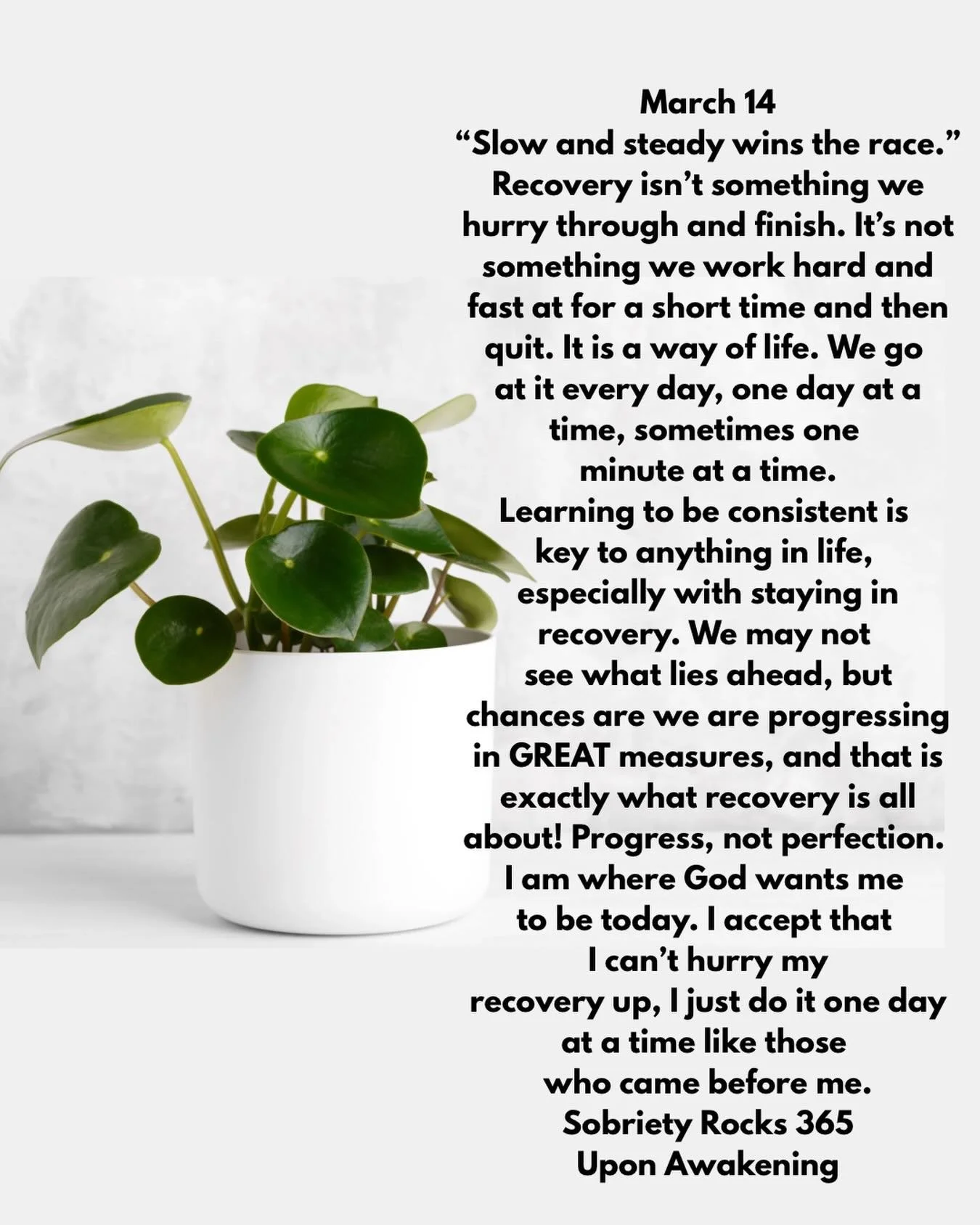 #uponawakening #love#moms #surrender 
#powerinthepause