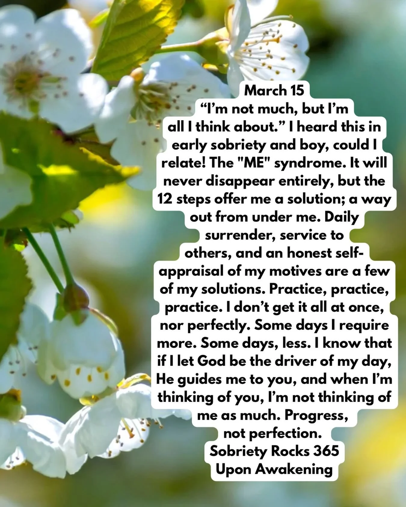 #uponawakening #love#moms #surrender 
#powerinthepause