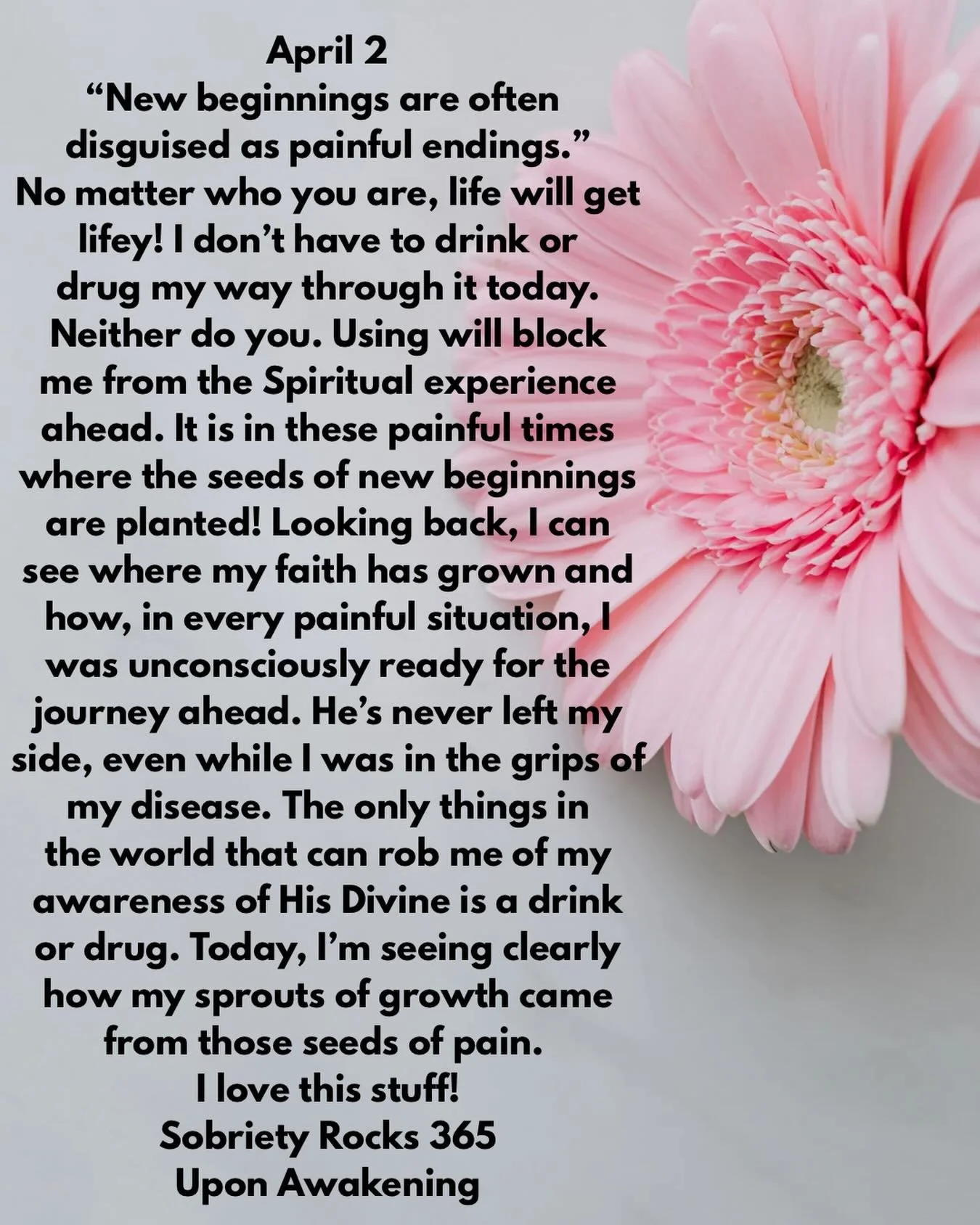 #uponawakening #love
#moms #surrender 
#powerinthepause